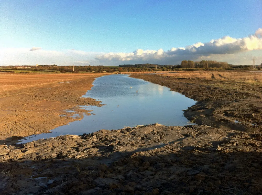 Photo showing: Autumn 2012 and another new lake at Adwick Washlands