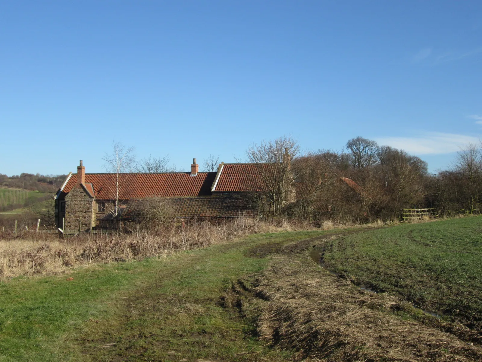 Photo showing: Approaching Royds Moor Farm