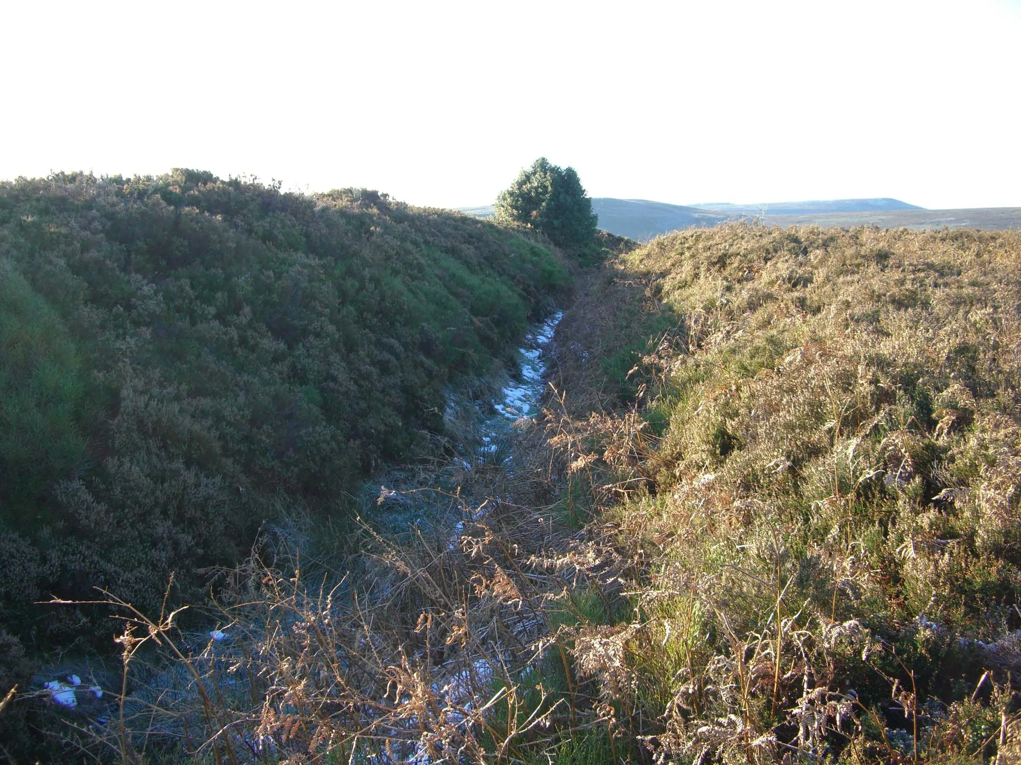 Photo showing: The Bar Dike, a Dark Ages boundary ditch near Low Bradfield, Sheffield, England