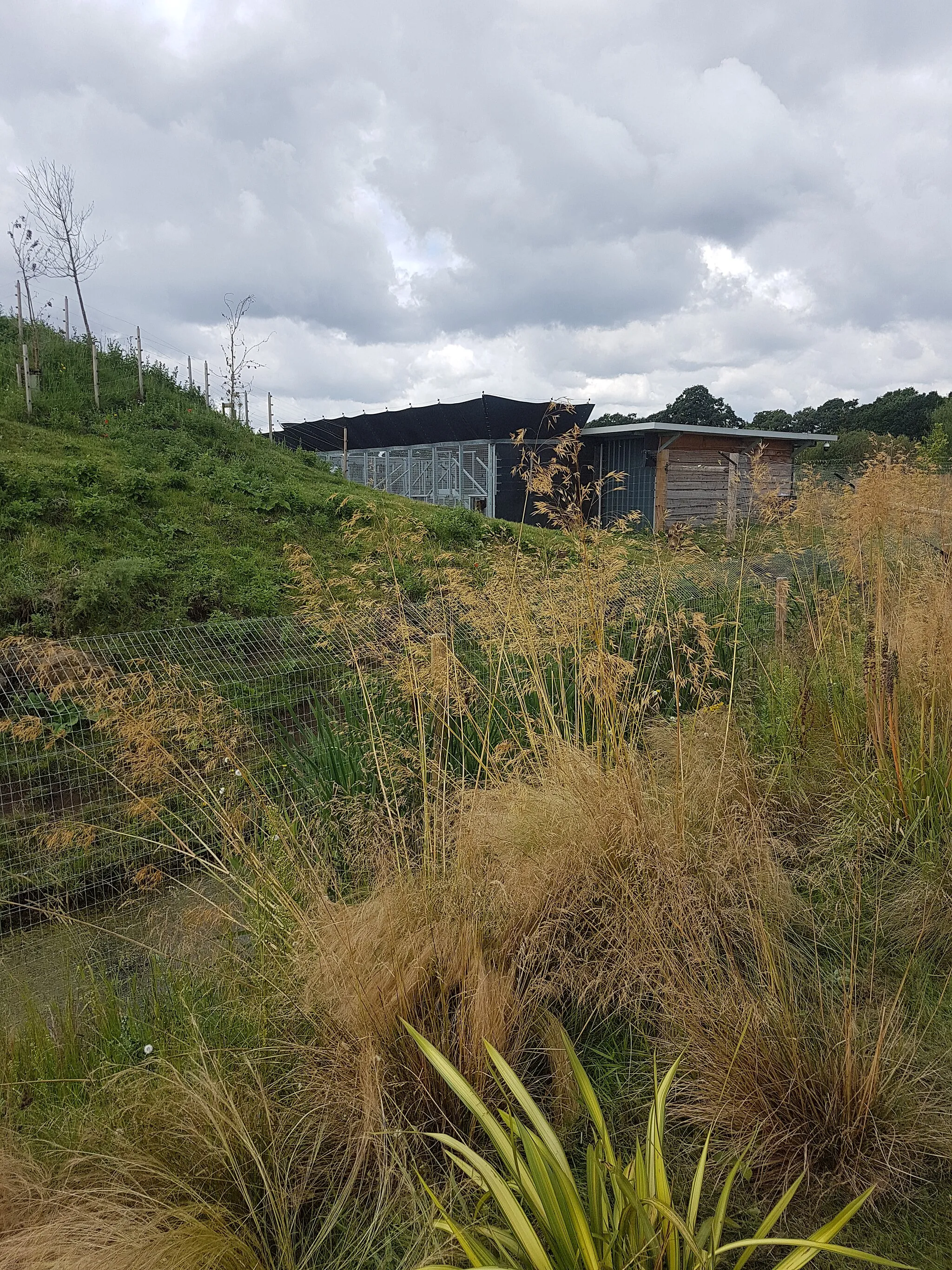 Photo showing: Yorkshire Wildlife Park Gelada Housing