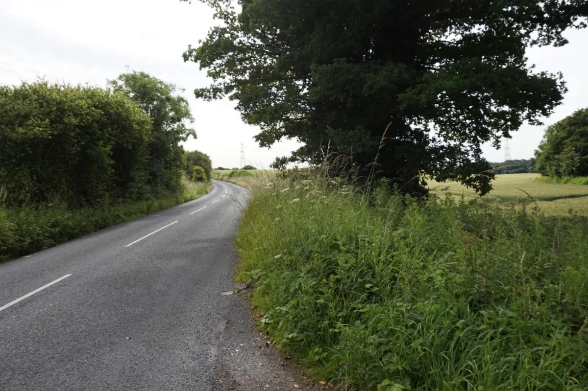 Photo showing: Bank Wood Road towards Womersley