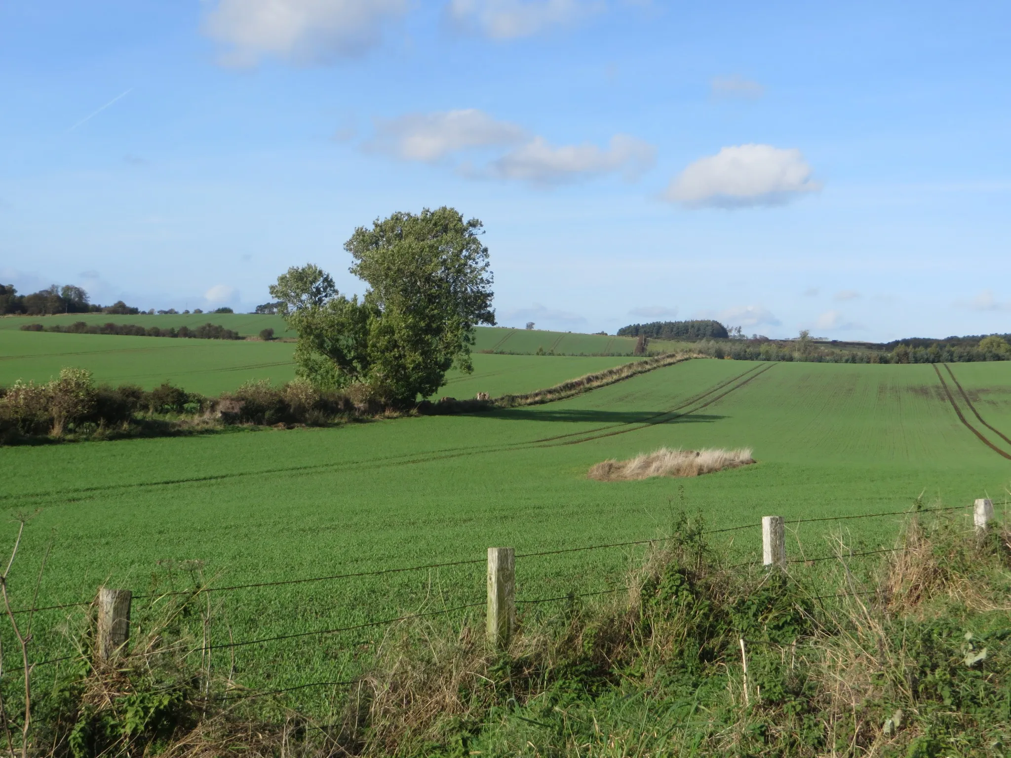Photo showing: Arable land east of Ford Hill
