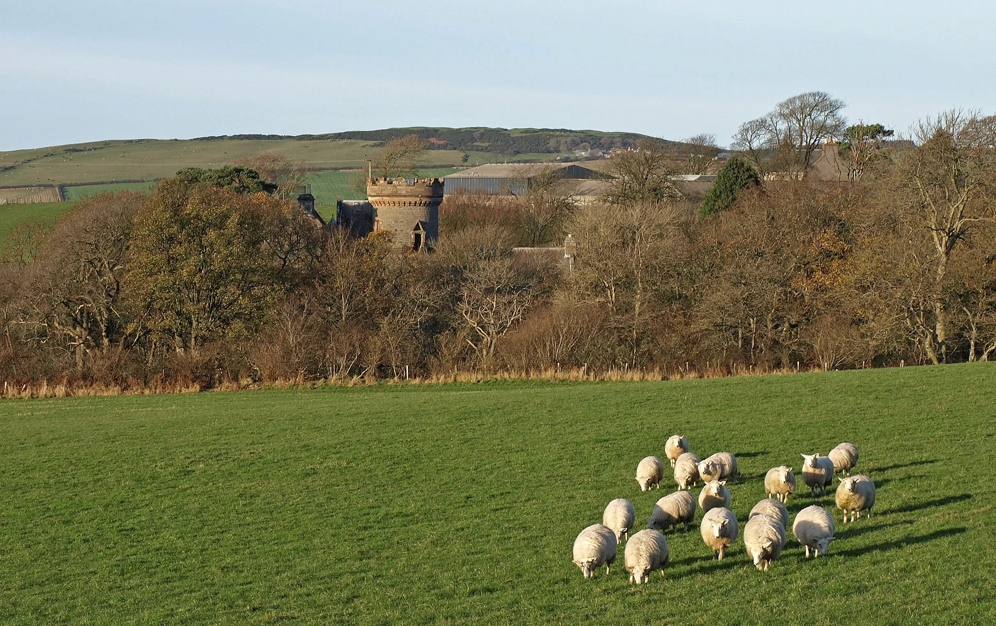 Photo showing: Grazing Sheep, Penkill Castle