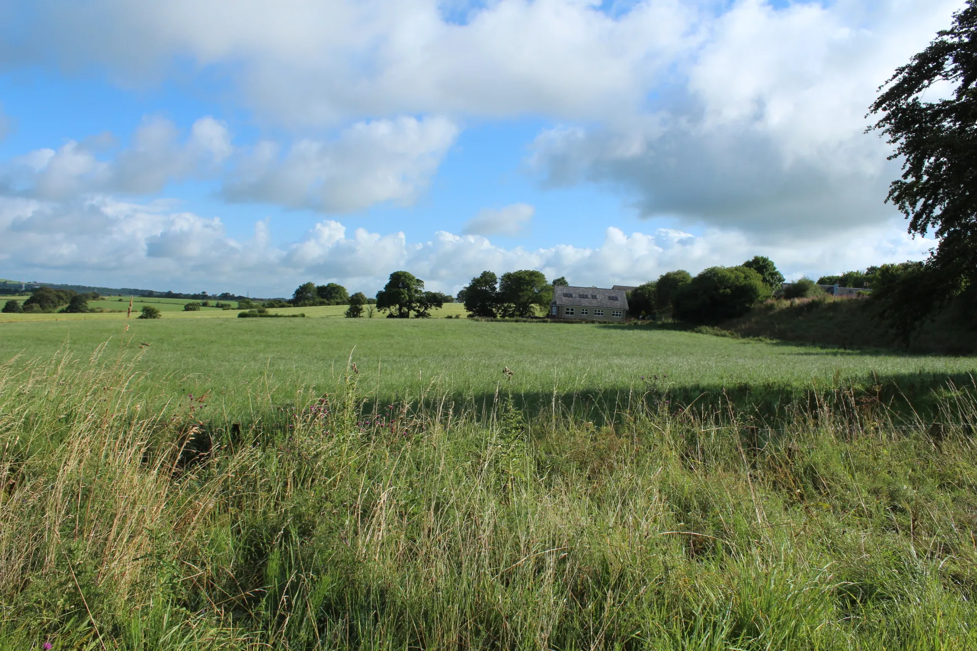 Photo showing: Farmland at Sinclairston