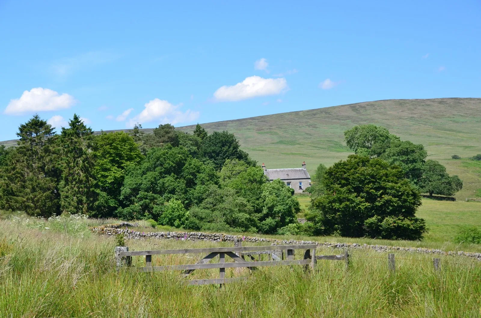 Photo showing: Blackburn farm, Newcastleton