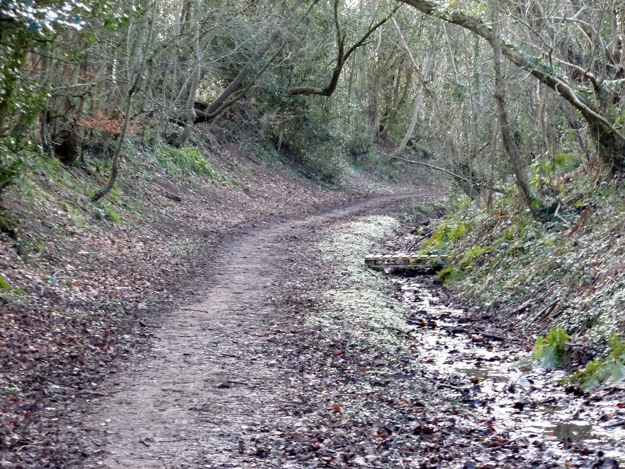Photo showing: Asection of the Auchincruive Waggonway, Annbank, South Ayrshire, Scotlan. Close to Auchinharvie Pit No. 3.