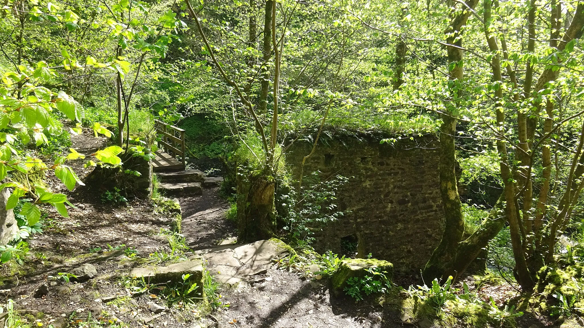 Photo showing: Spectacle E'e mill ruins on the Kype Water, Sandford, Lanarkshire