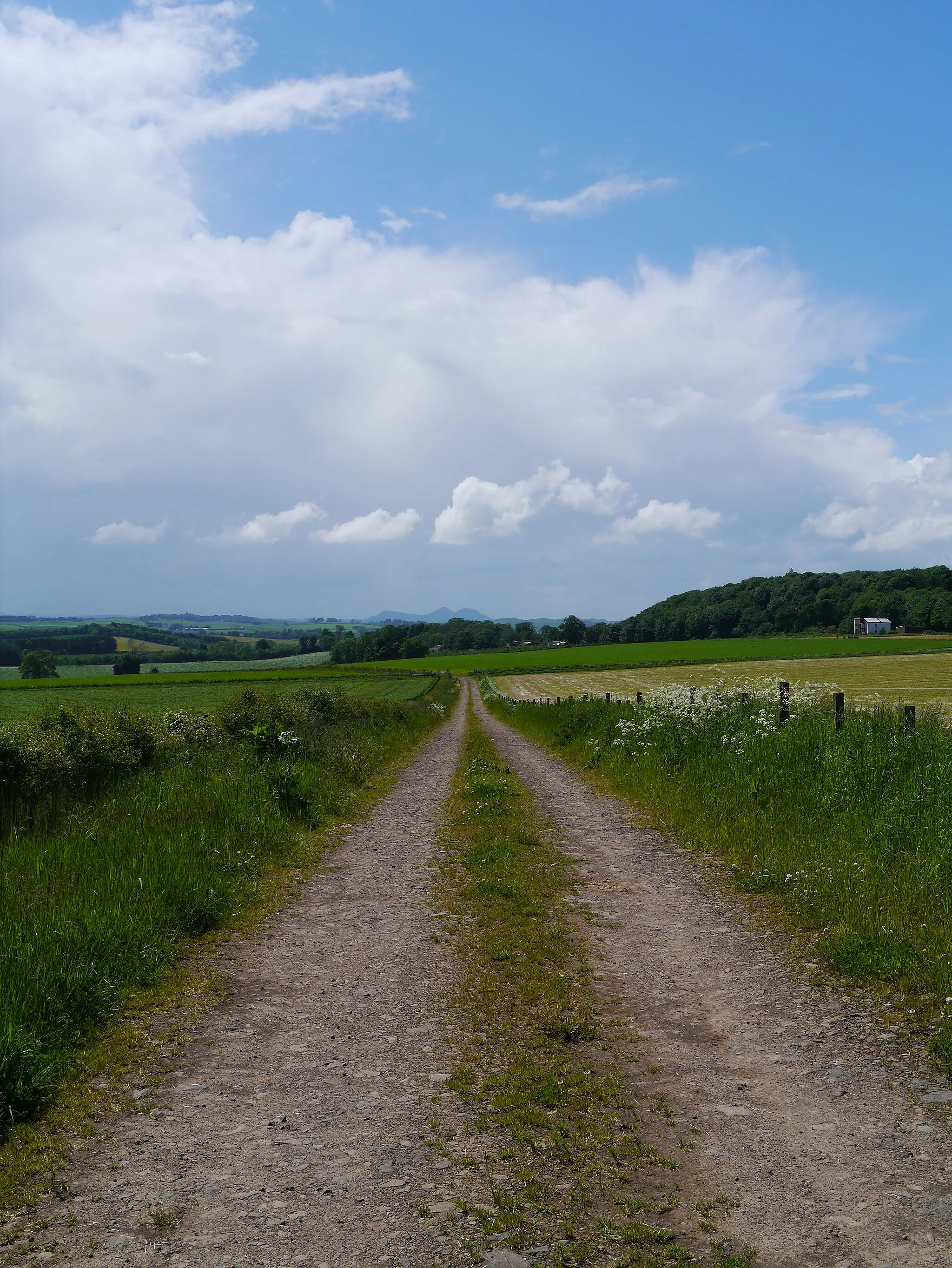 Photo showing: Access Track Near Stichill Stables