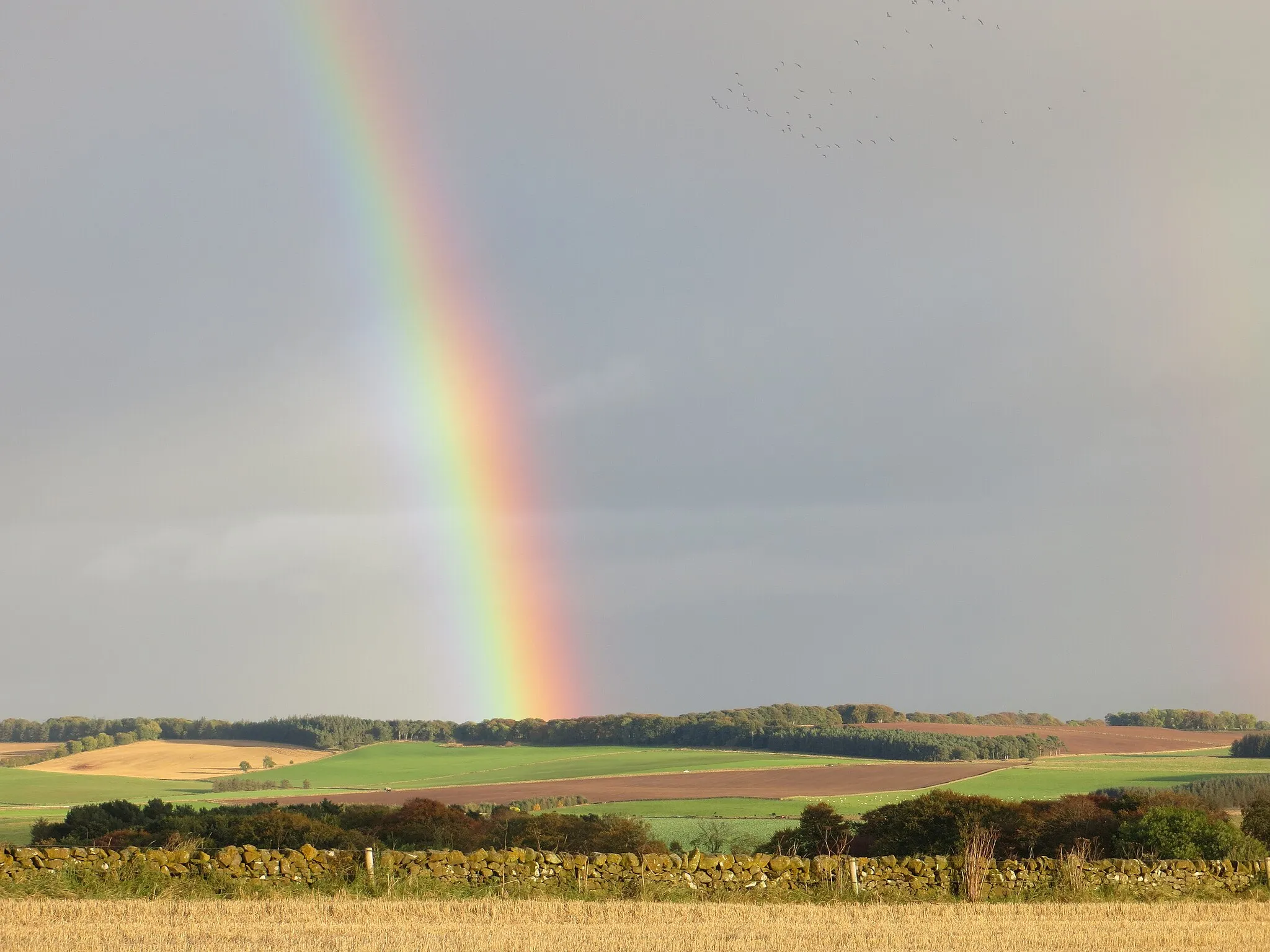 Photo showing: Agricultural view from Rumbleton Law Triangulation Pillar with bonus rainbow