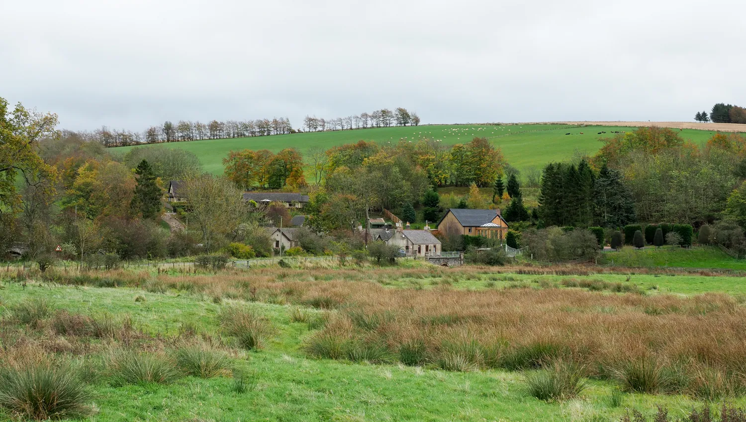 Photo showing: Roughly vegetated field adjacent to A68