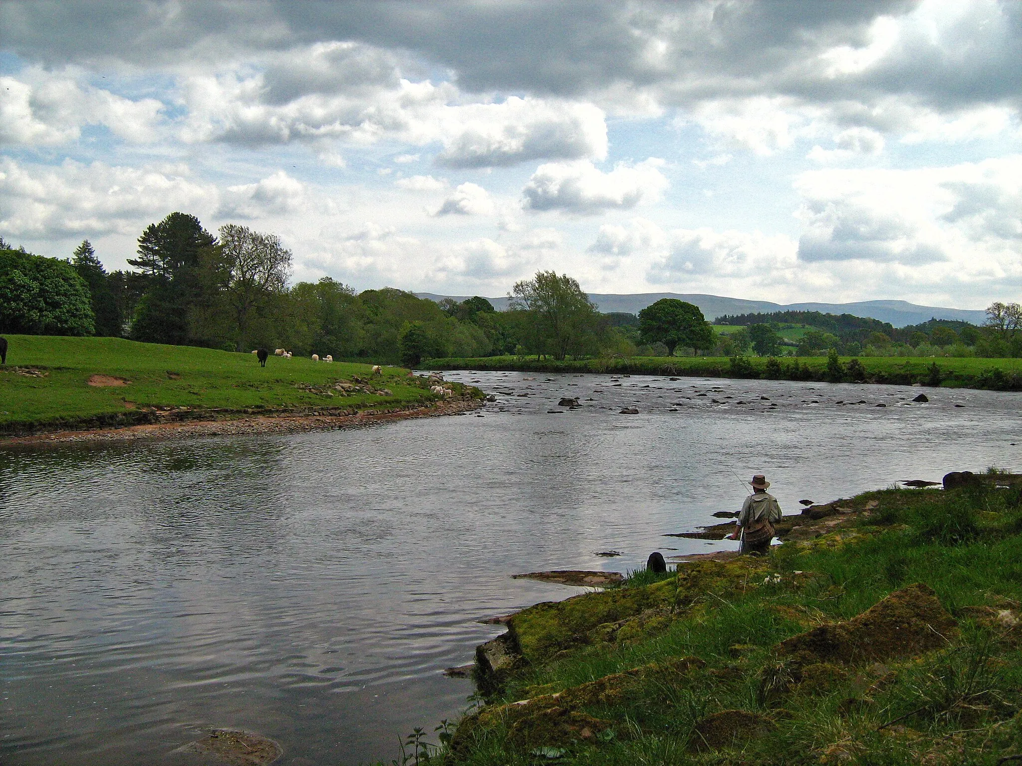 Photo showing: A corner of Eden