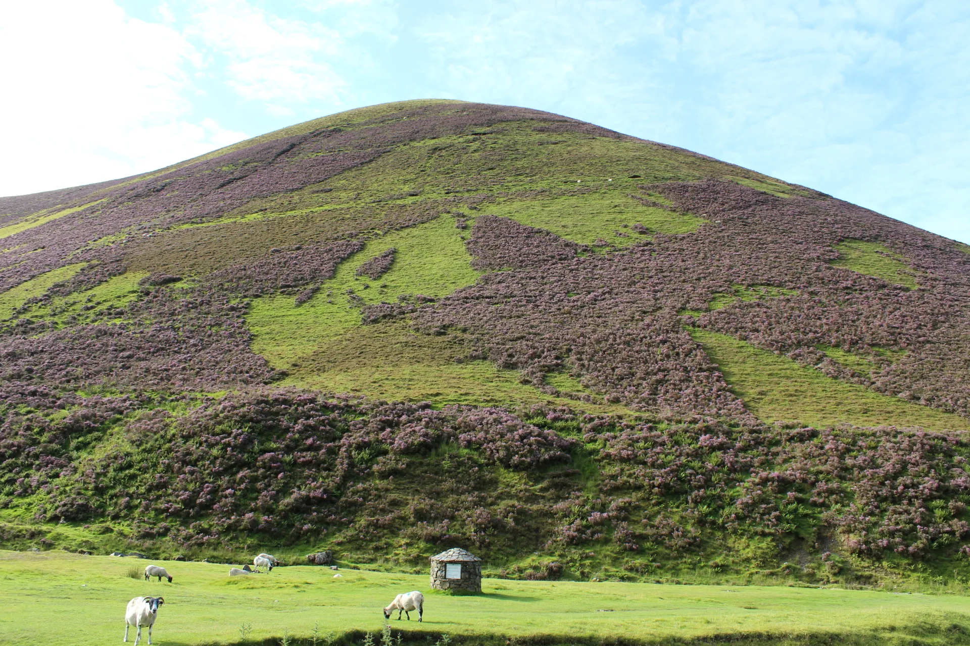 Photo showing: Meikle Snout