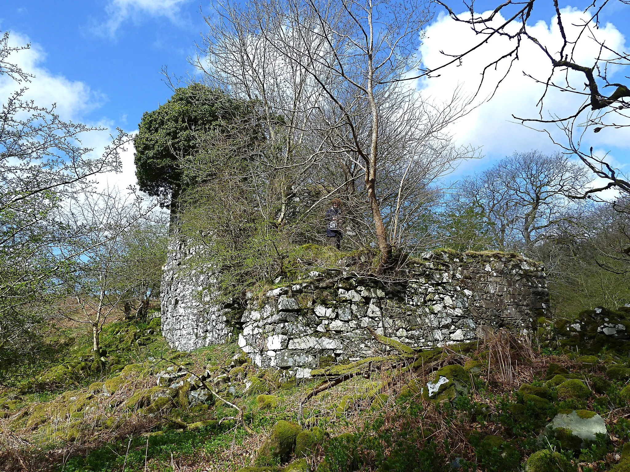 Photo showing: Garlies Castle, Minnigaff, Kirkcudbrightshire (2). Ancient seat of the Earls of Galloway