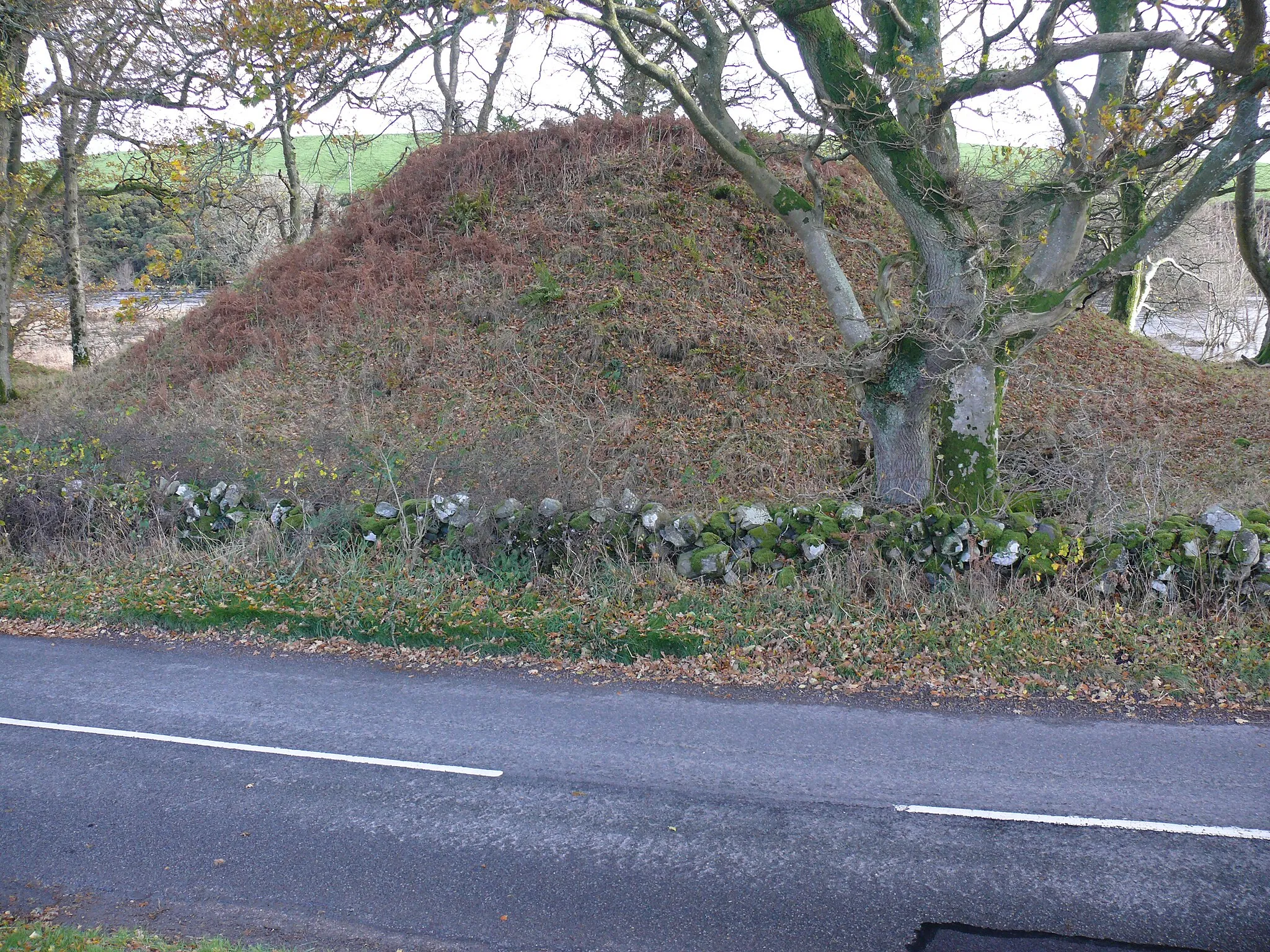 Photo showing: Boreland Motte, Kirkcowan, Wigtownshire, is on OS mapping and sits at the side of the B733.  It is about 20 feet high and 100-120 feet around the base.