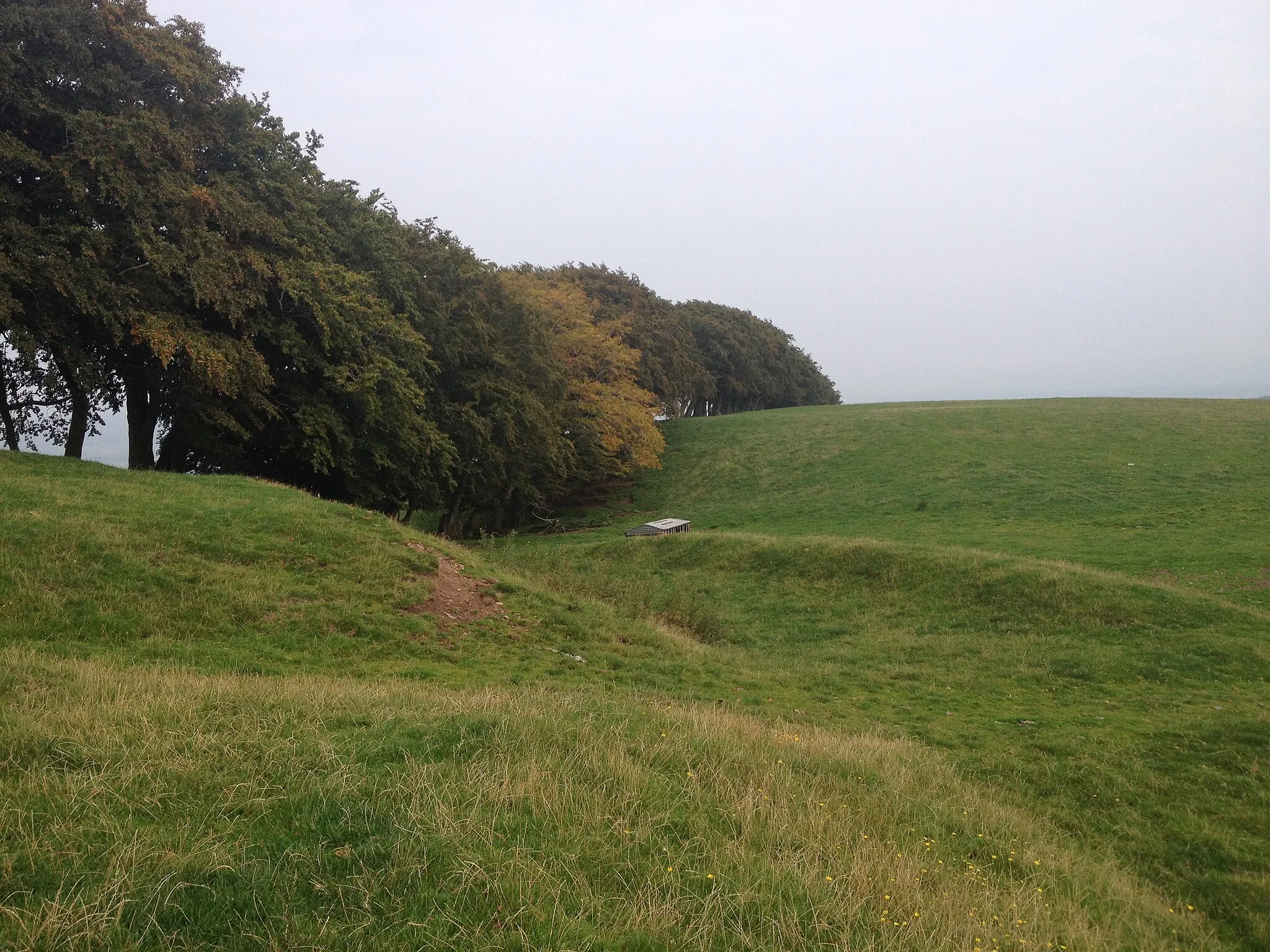 Photo showing: The top of Barr Hill Dumfriesshire