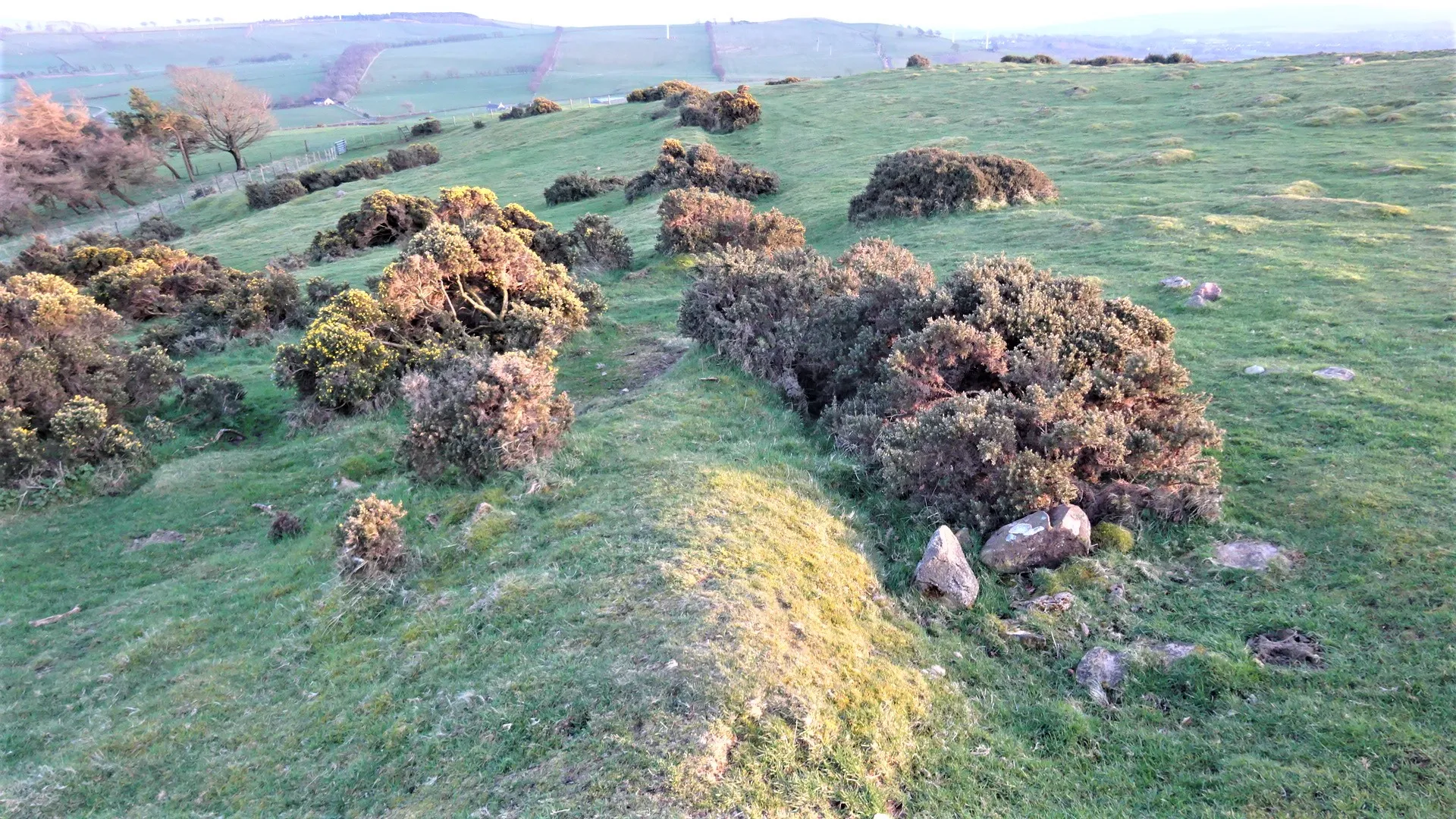 Photo showing: Black Hill, Kirkfieldbank, Lanarkshire - enclosure bank. Prehistoric or medieval. A Bronze Age Cairn and an Iron Age Fort are in this general vicinity.