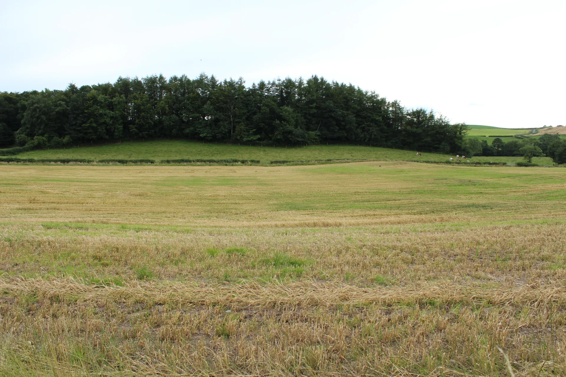Photo showing: Farmland at Haugh of Urr