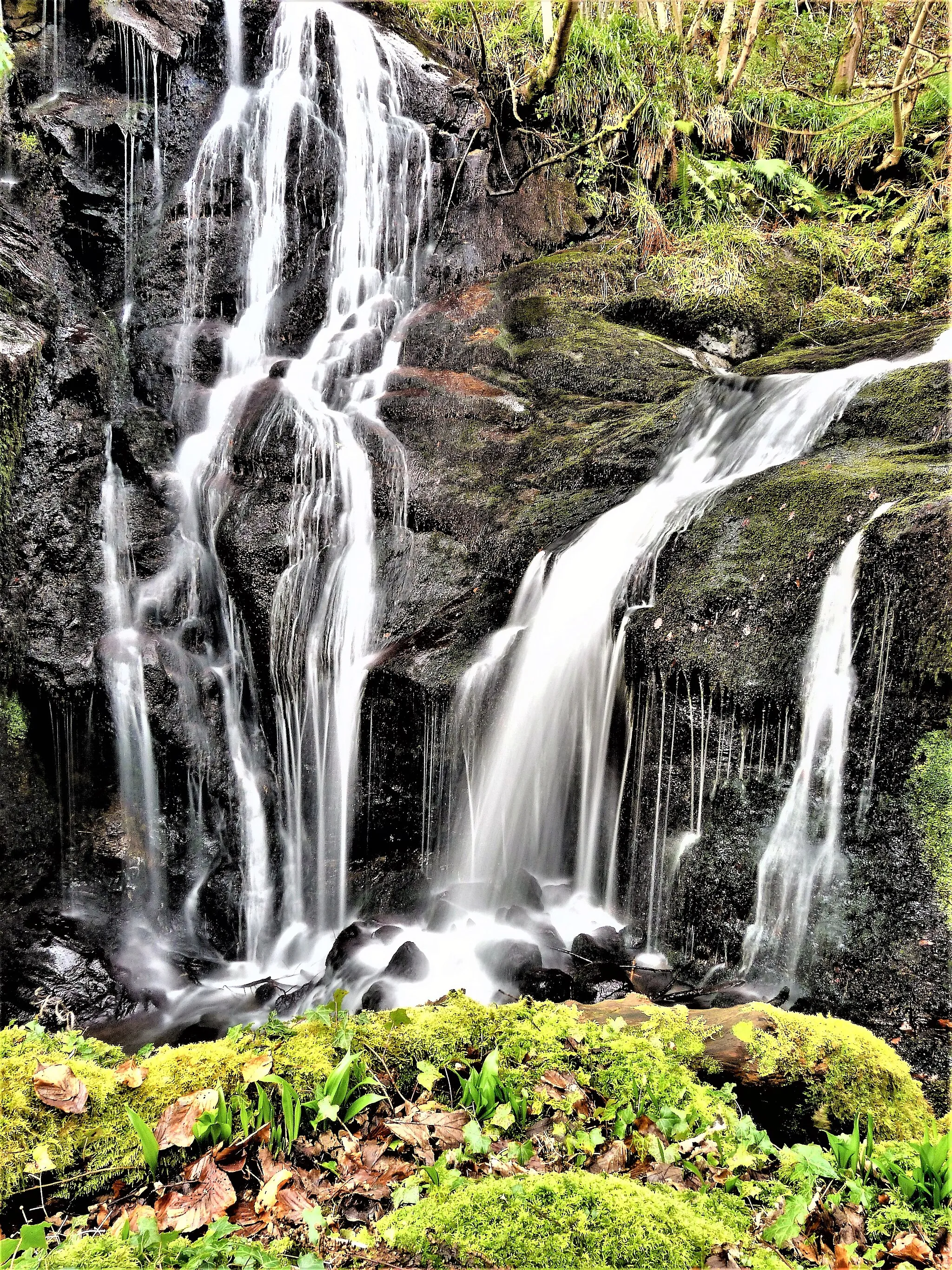 Photo showing: Fairlie Castle Waterfall - Fairlie Glen