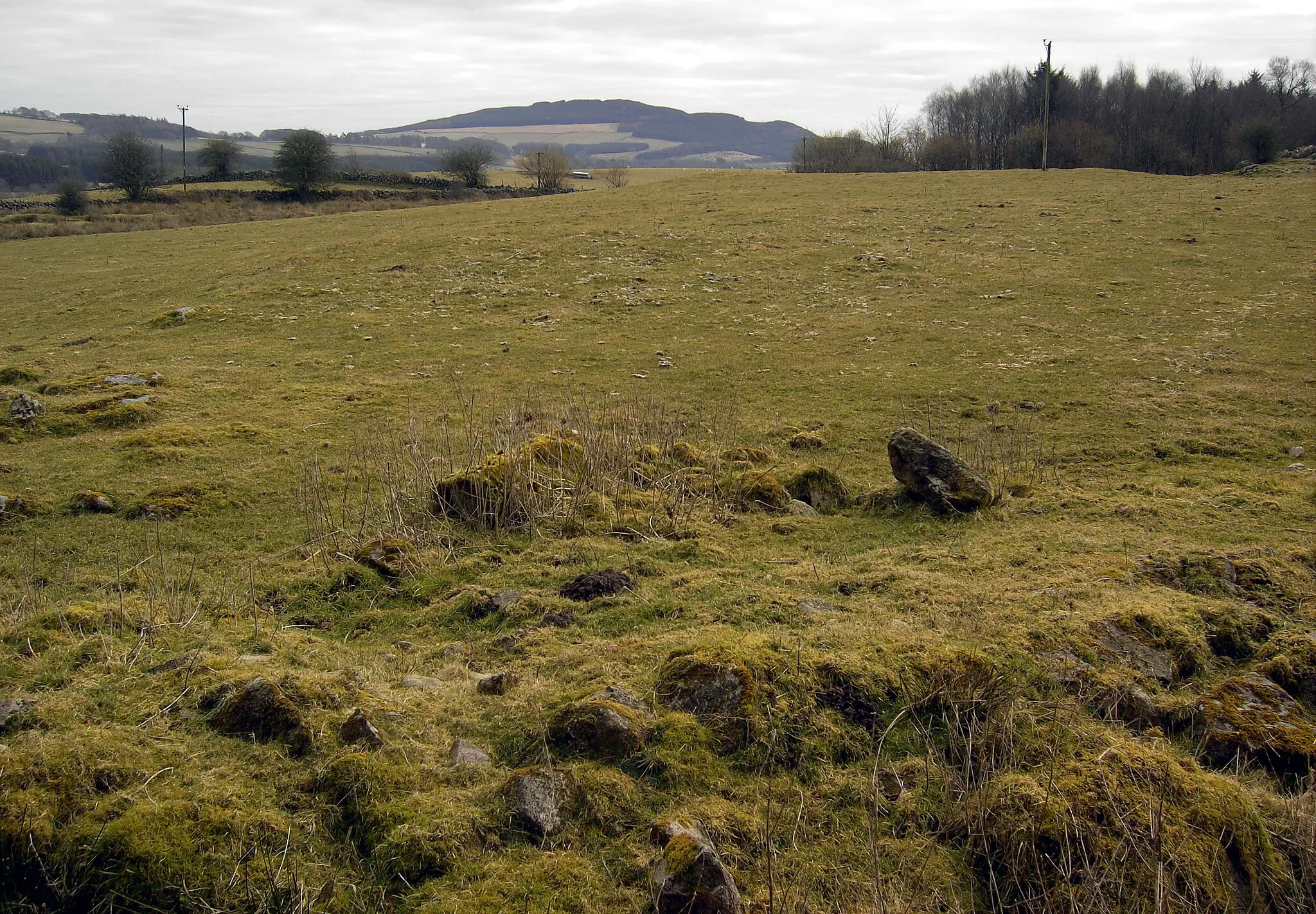 Photo showing: Rough grazing land Rough grazing at Meikle Cloak Farm.