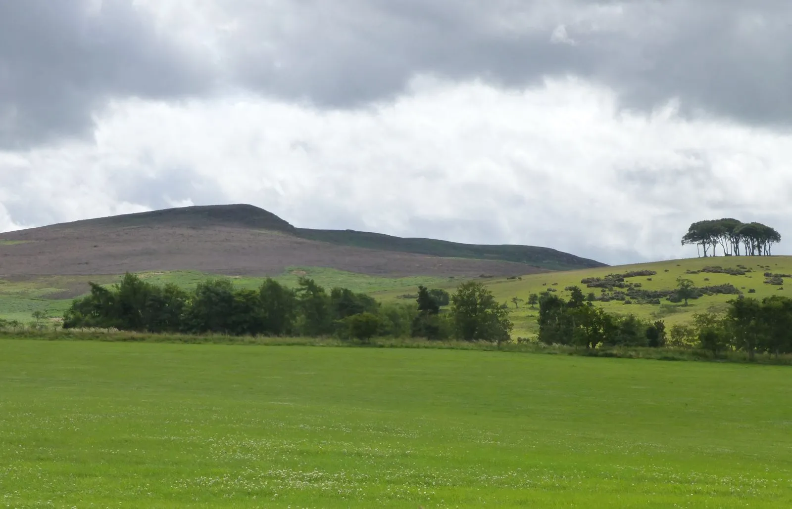 Photo showing: Across the pasture from Lorbottle