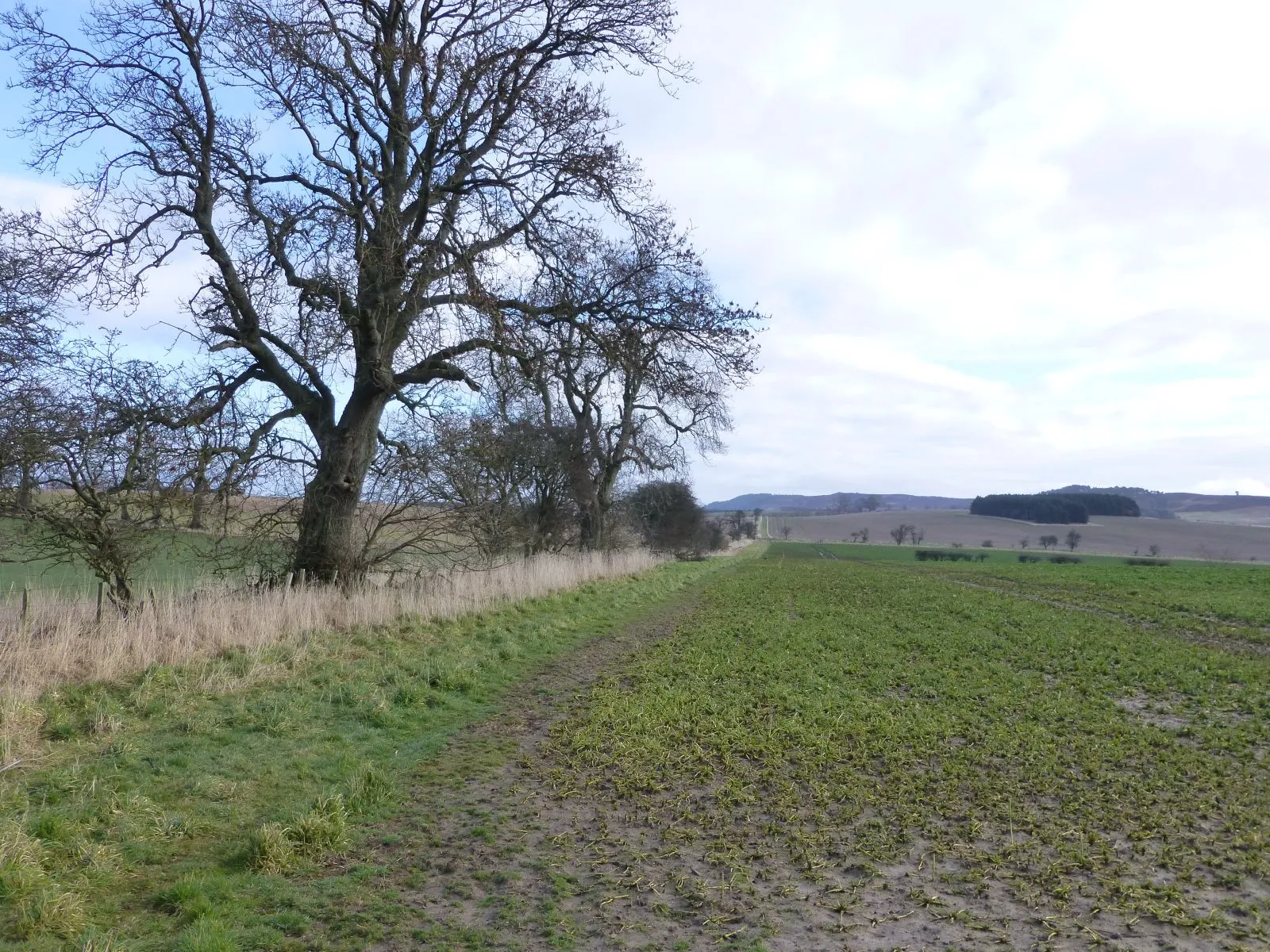 Photo showing: Arable fields