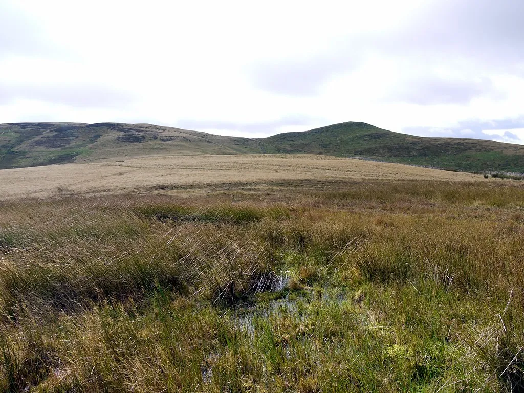 Photo showing: Bog on Border ridge north of Whitelaw Nick