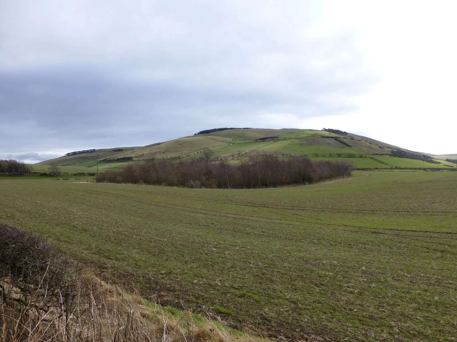 Photo showing: A circular wood