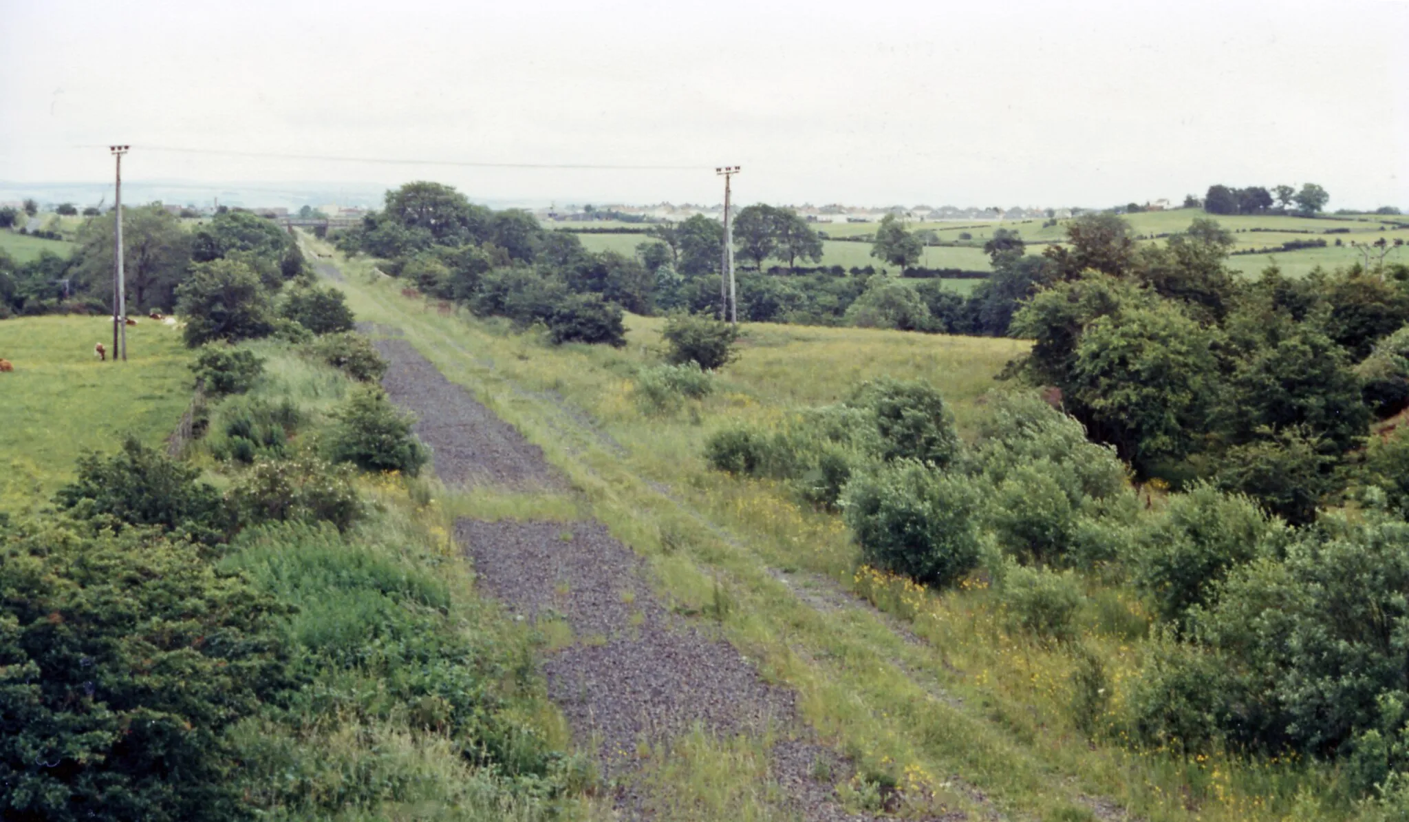 Photo showing: Track-bed of railway at Crosshouse towards Kilmarnock, 1986.
The station had been behind camera, but was closed from 18/4/66. This was the ex-G&SWR line from Dalry to Kilmarnock (closed 22/10/73) with a branch to Irvine (closed 6/4/64).
