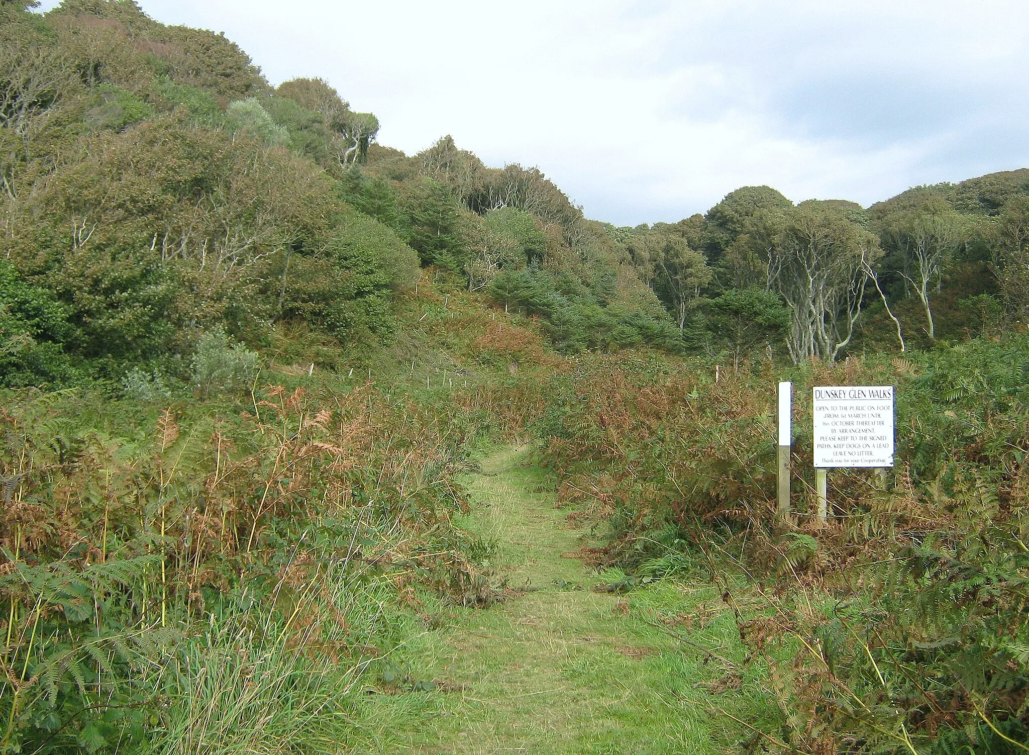 Photo showing: A path in Dunskey Glen