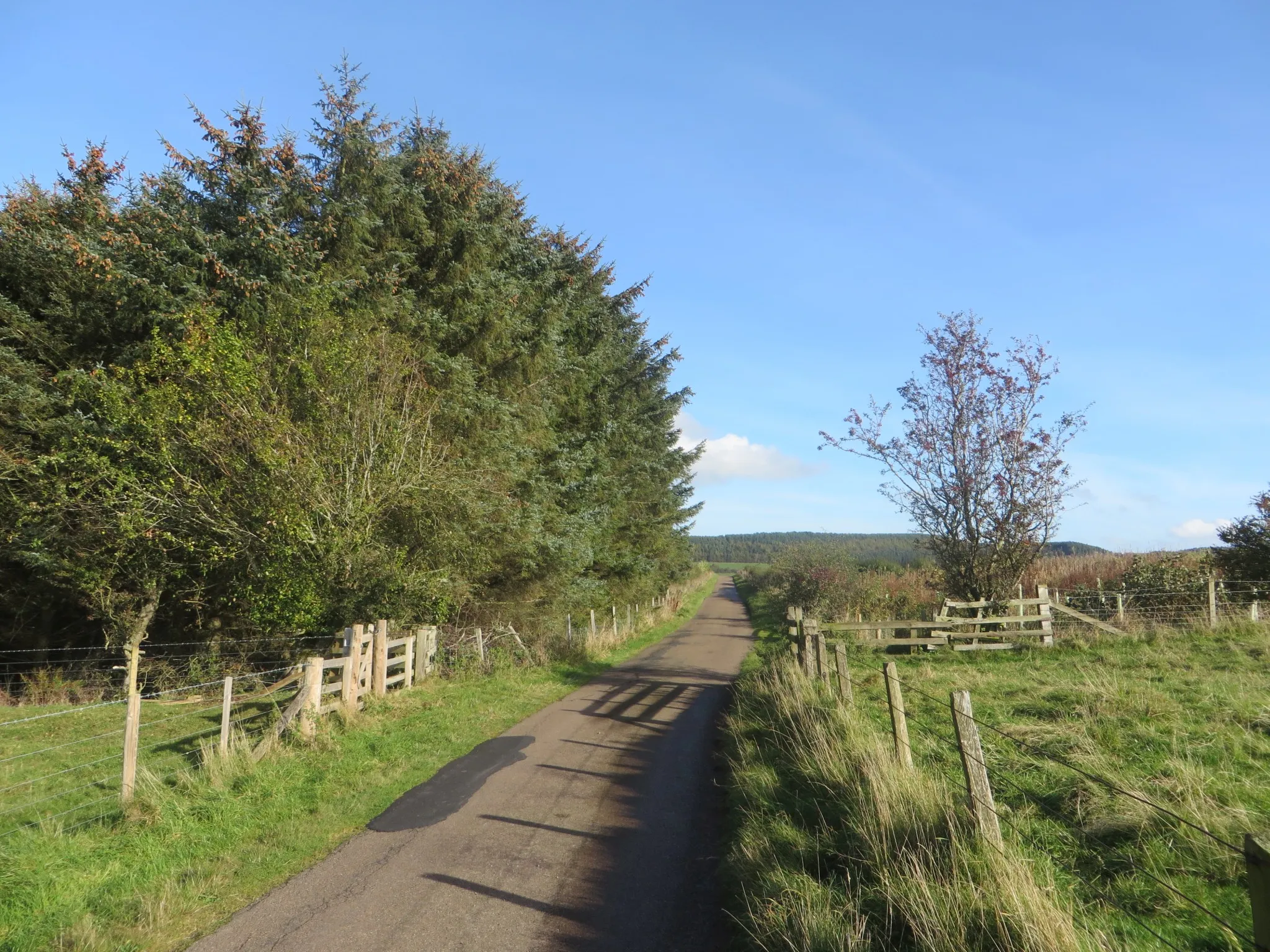 Photo showing: Country road at White Hill