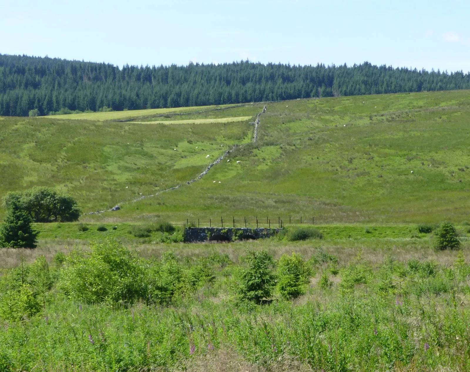 Photo showing: Trackbed of the former Border Counties Railway