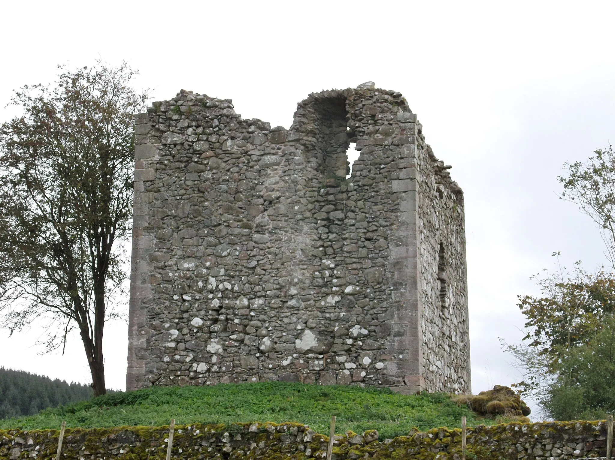 Photo showing: Lag Tower from the north-west showing the garde-robe position and the absence of the third storey, Dunscore, Dumfries & Galloway, Scotland. Ancestral home of the Grierson Clan.