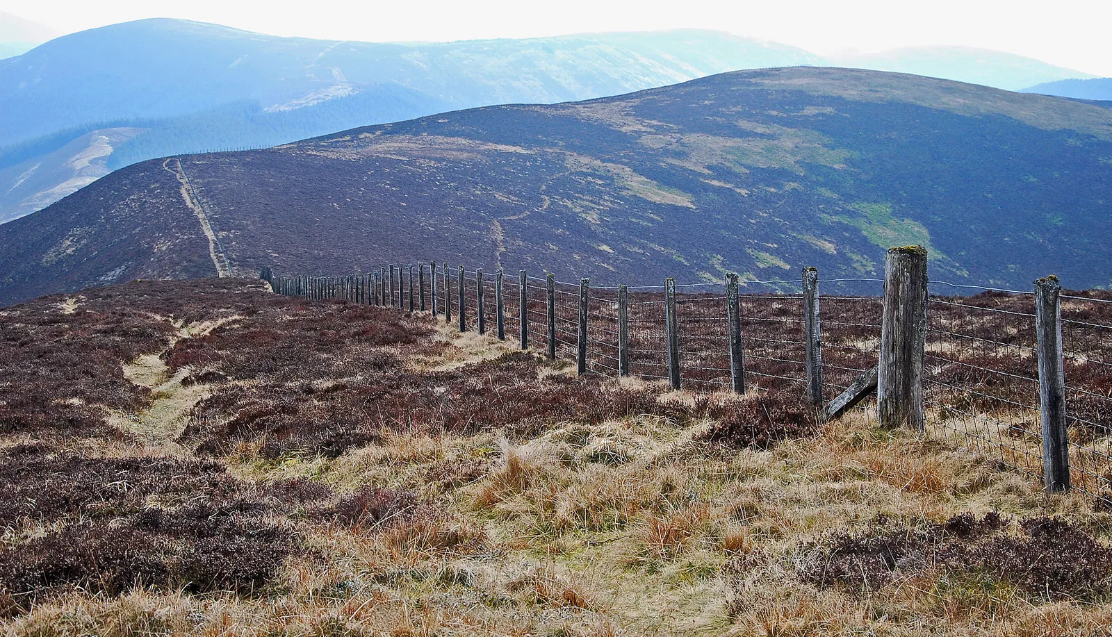 Photo showing: Gateshaw Rig from Croft Head