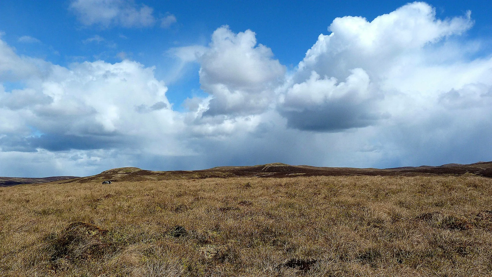 Photo showing: Feuside Hill (summit)