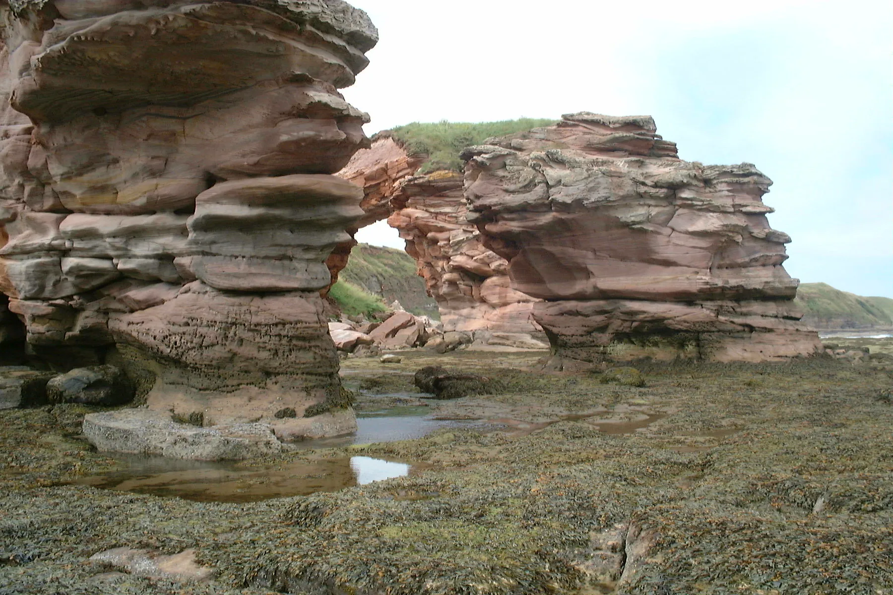 Photo showing: Arch and stacks at low tide