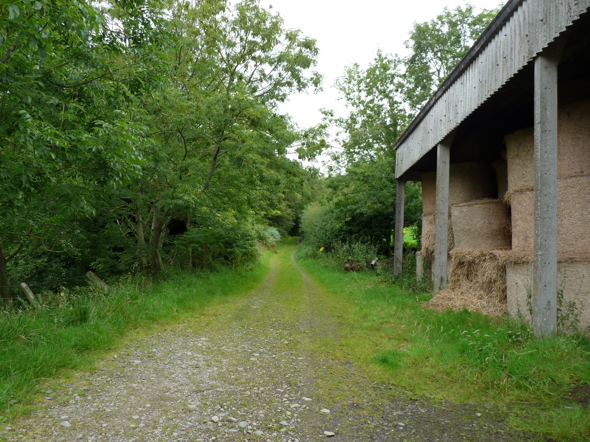 Photo showing: Southern Upland Way