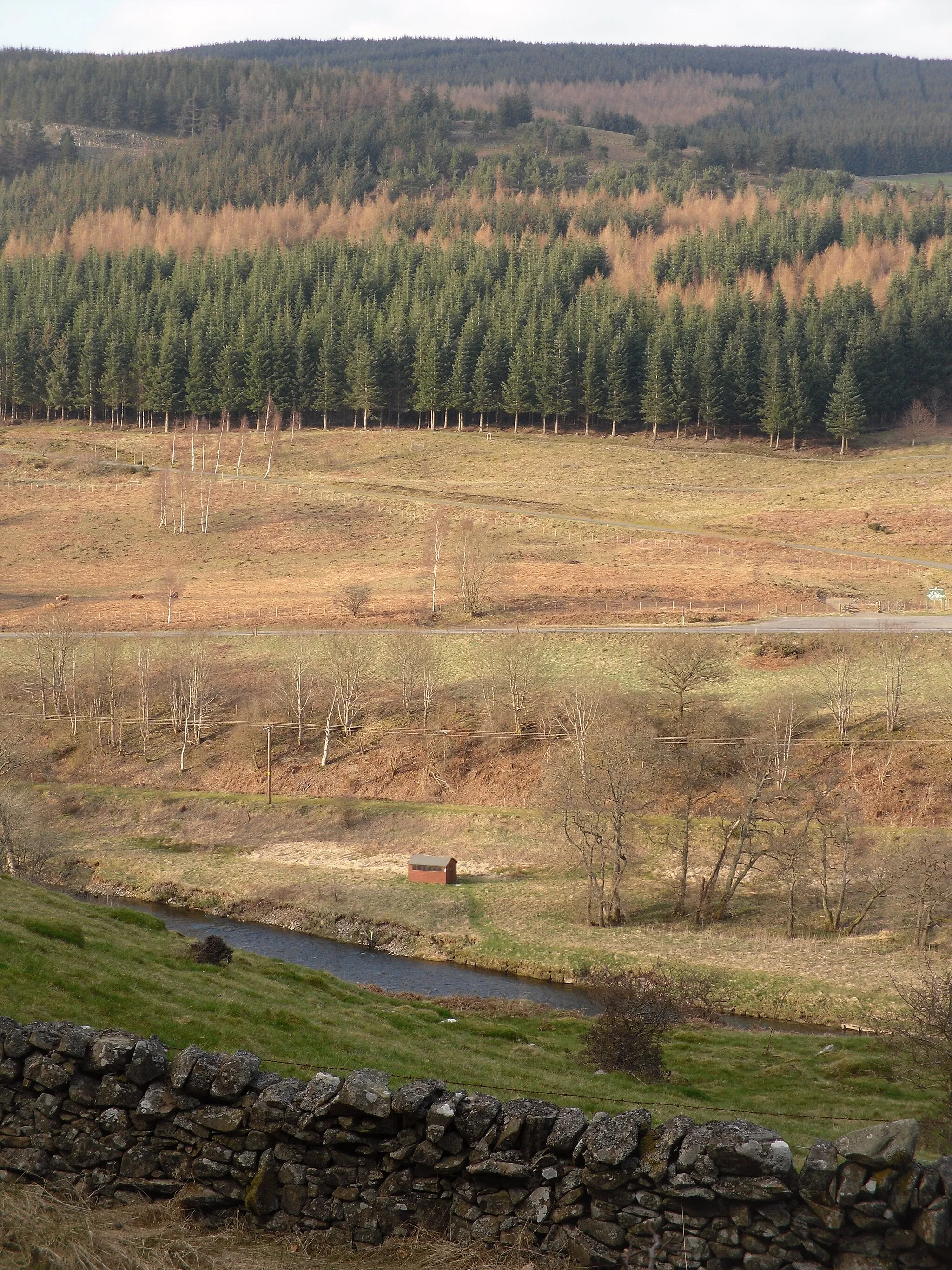 Photo showing: Looking North over the Batta to Thornylee