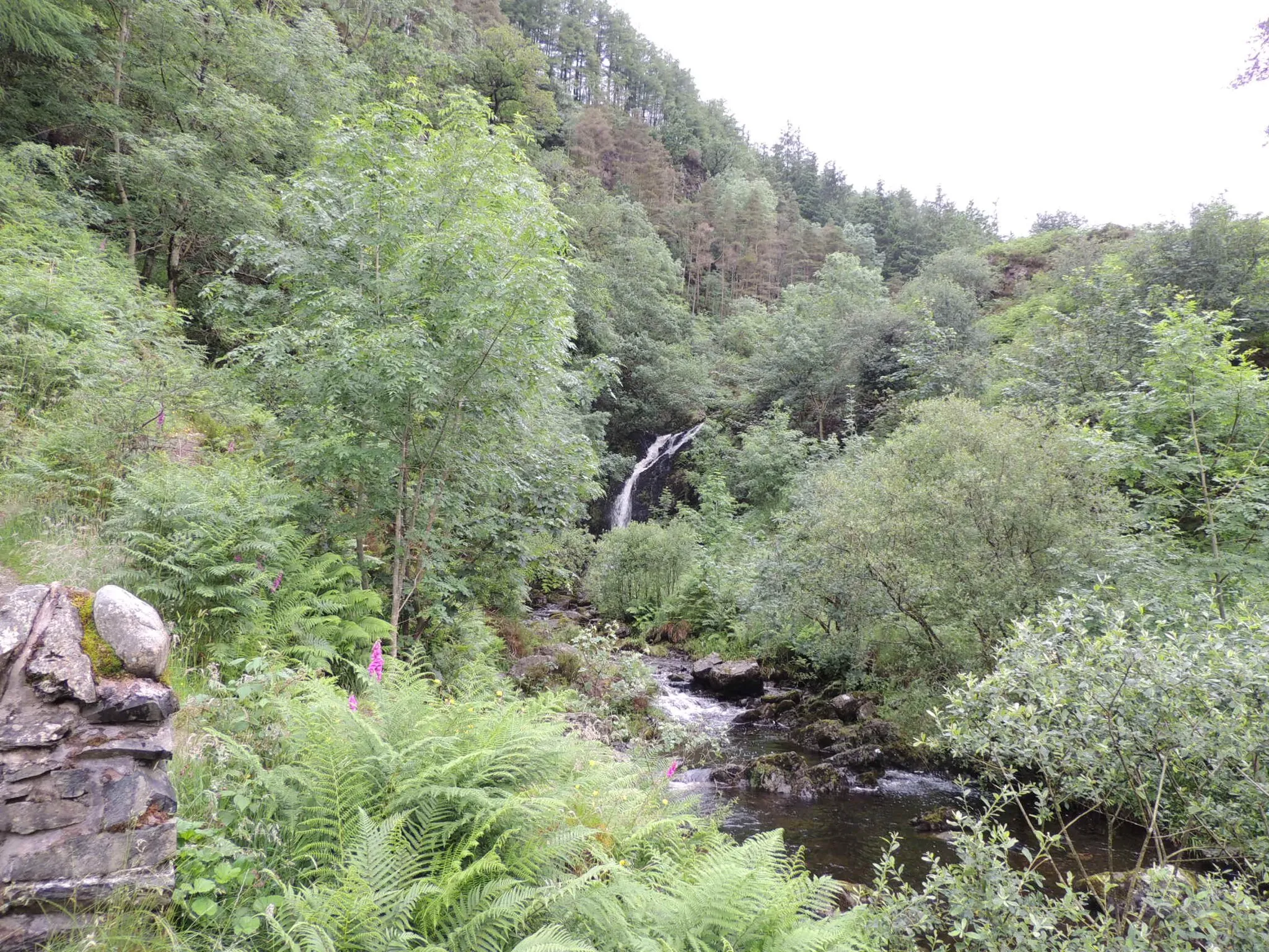 Photo showing: Grey Mare's Tail Burn