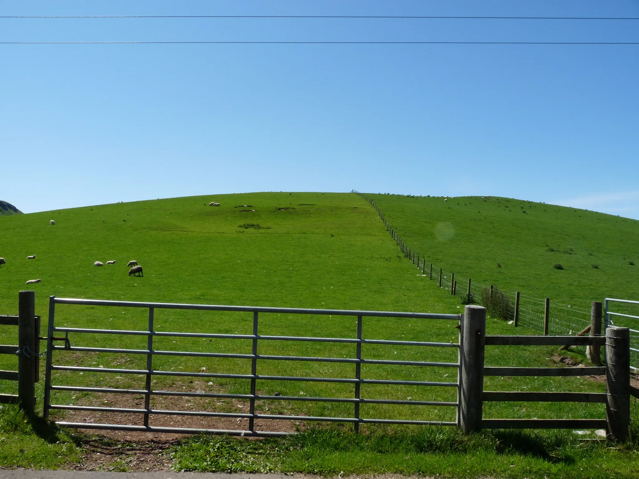 Photo showing: Shalloch Hill