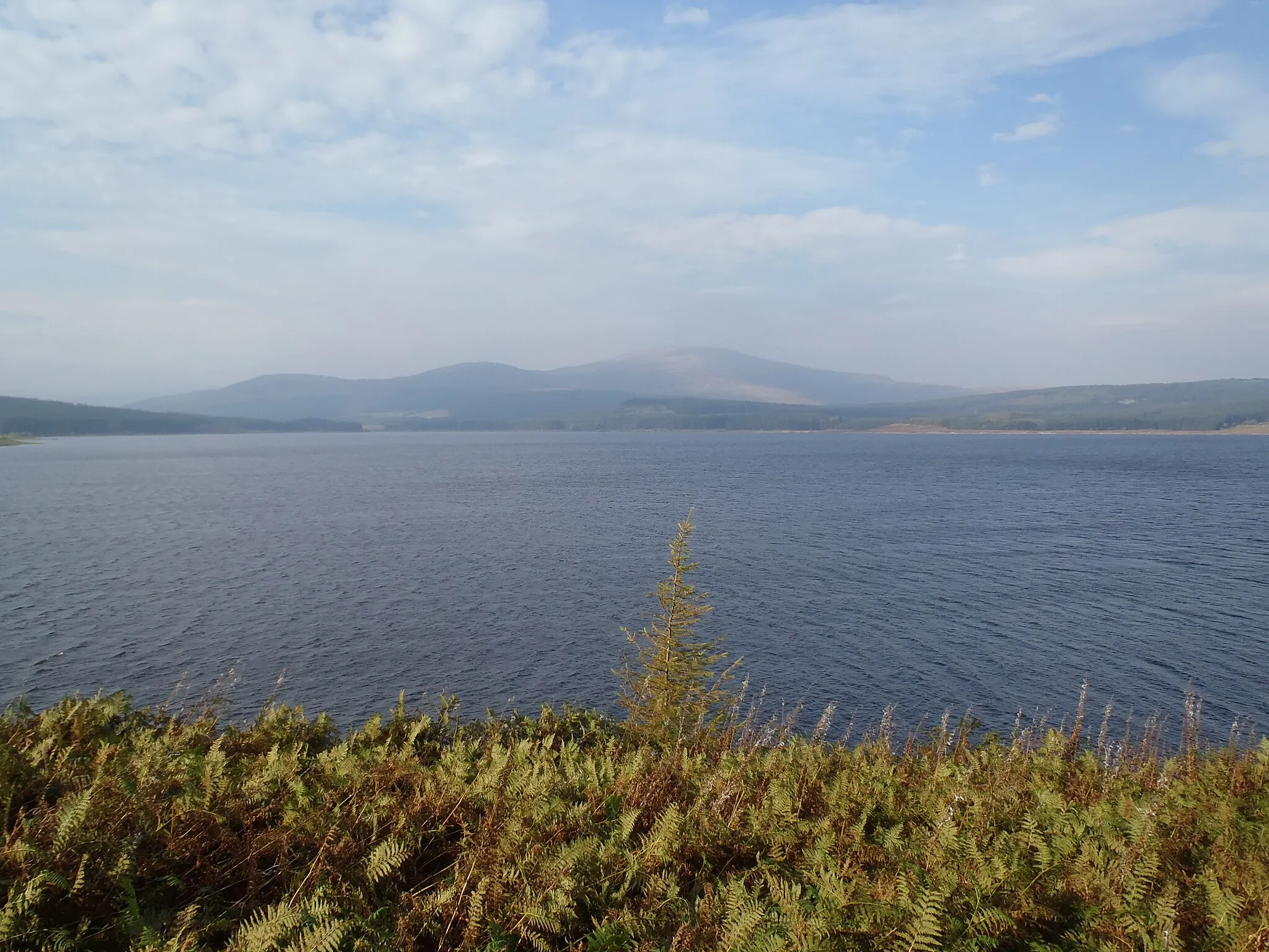 Photo showing: View North-west across Clatteringshaws Loch
