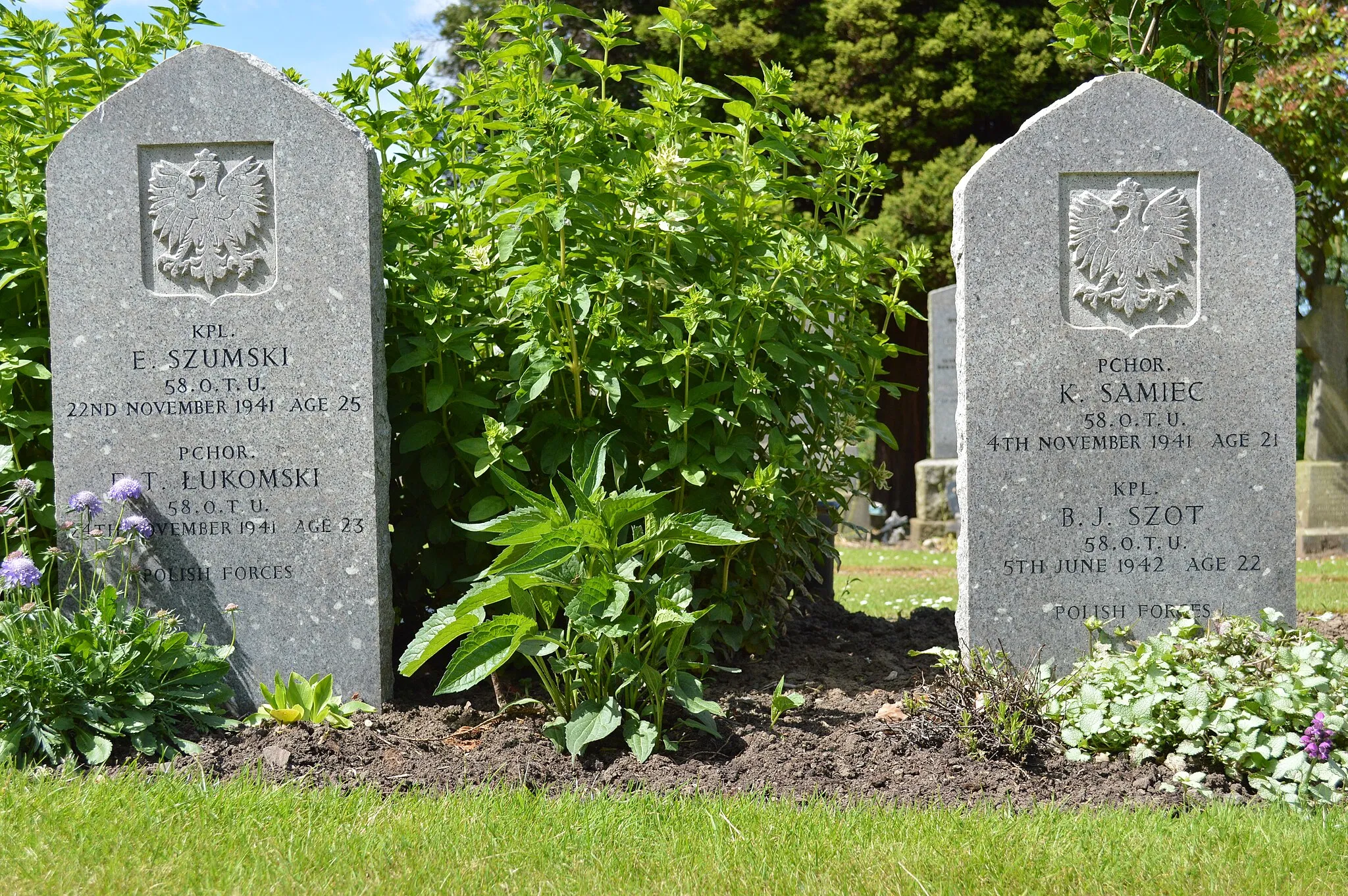 Photo showing: CWGC headstones in Grandsable cemetery, Grangemouth, of four Polish trainee airmen who died while training with No. 58 Operational Training Unit at RAF Grangemouth