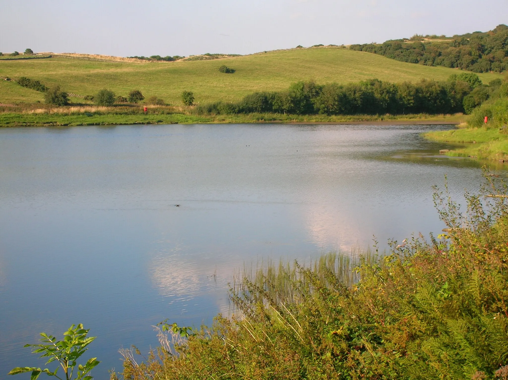 Photo showing: Collennan Reservoir near Loans / Dundonald, South Ayrshire, Scotland.