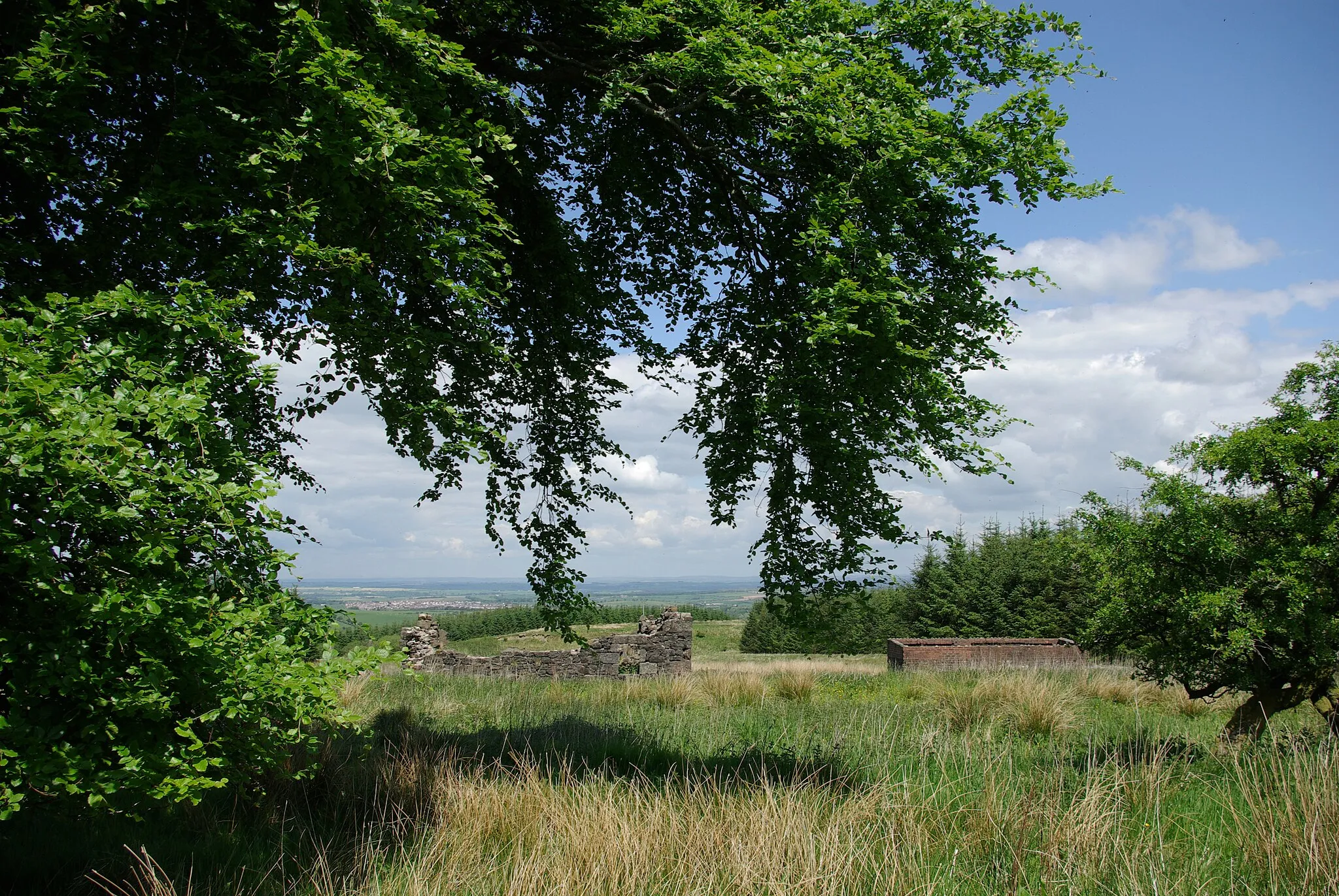 Photo showing: Bow