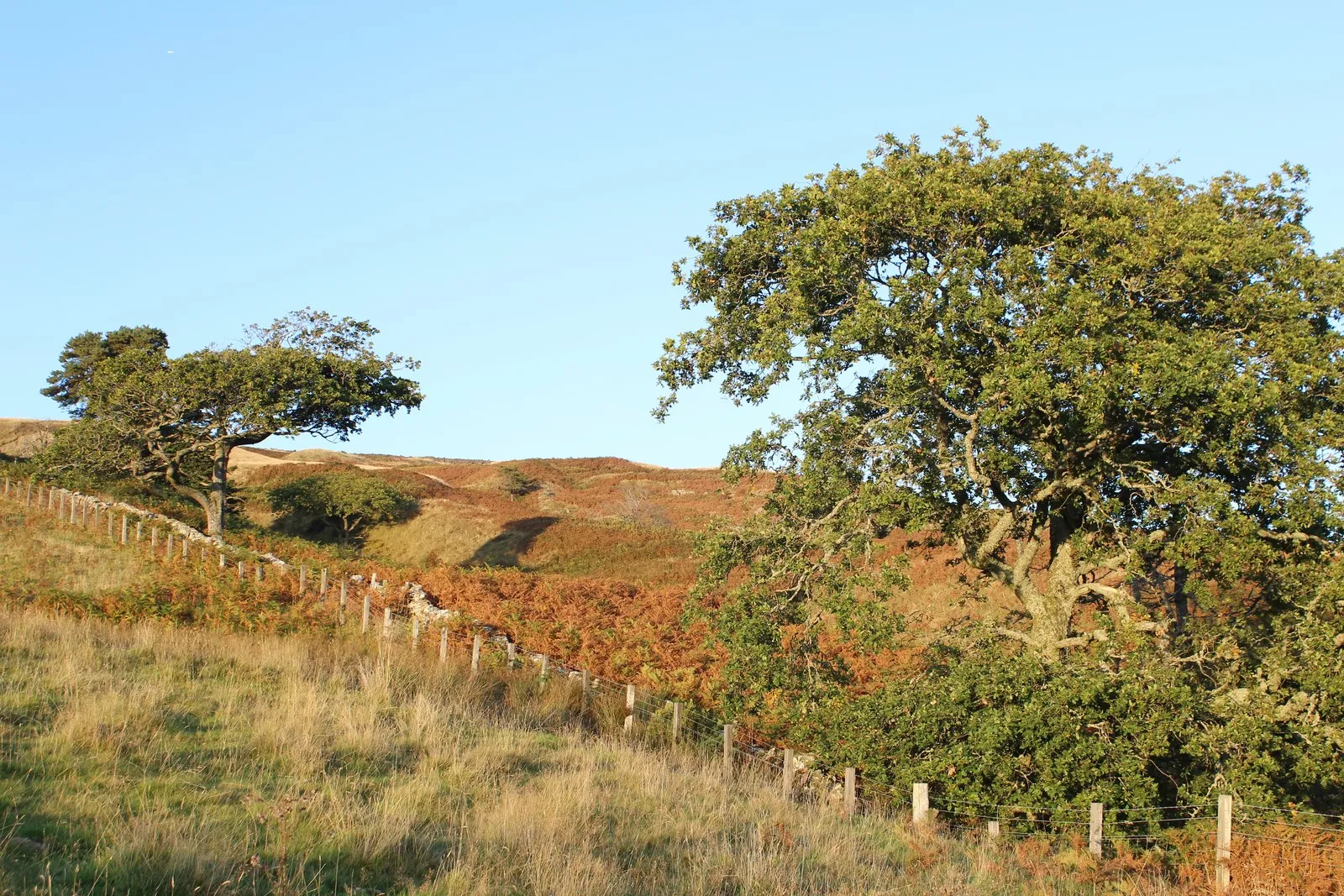 Photo showing: Hillside above East Chalmerston