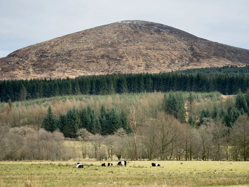 Photo showing: Cairnsmore of Fleet from the west