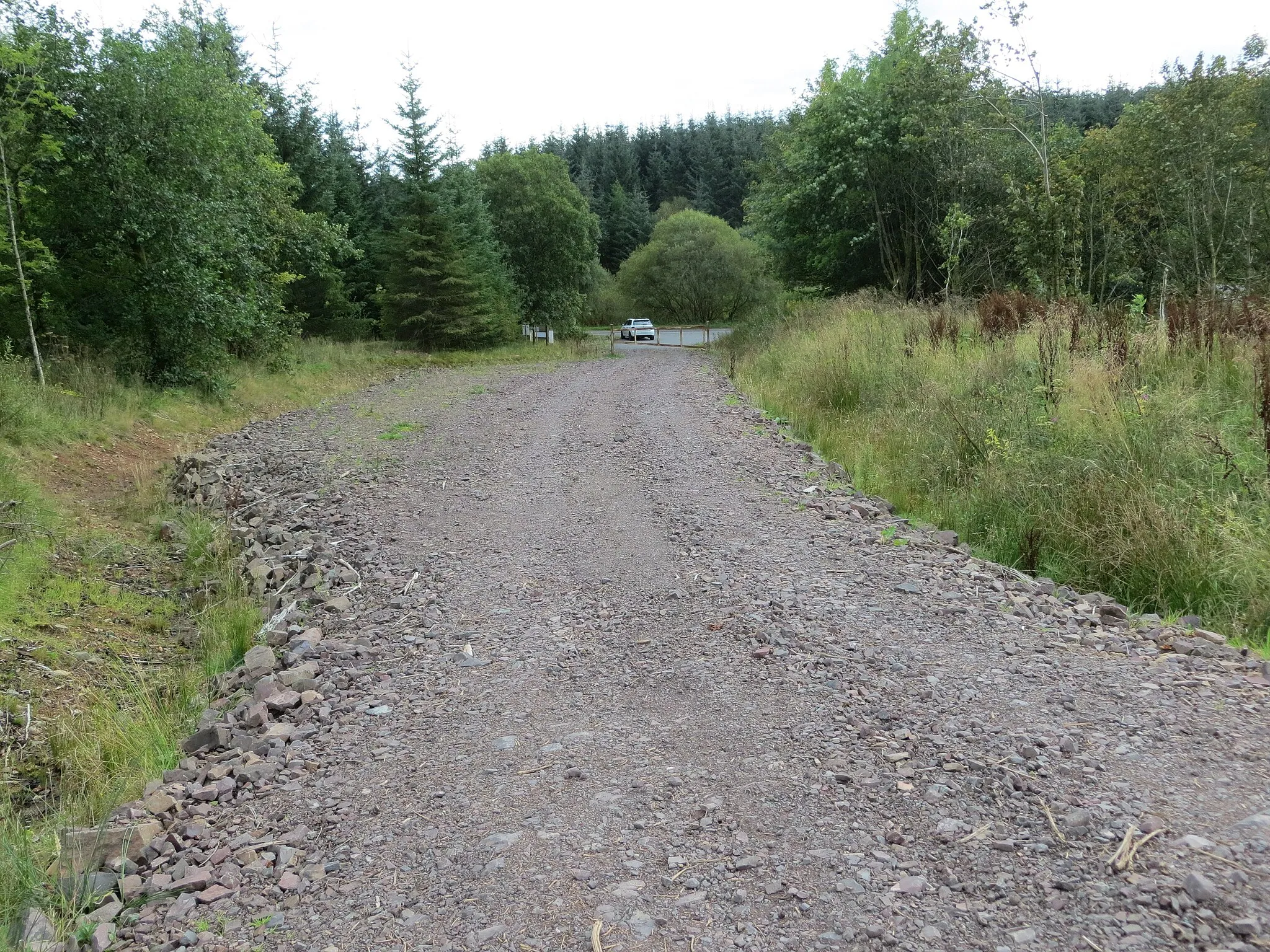 Photo showing: Forest track from Sowens Knowe to road