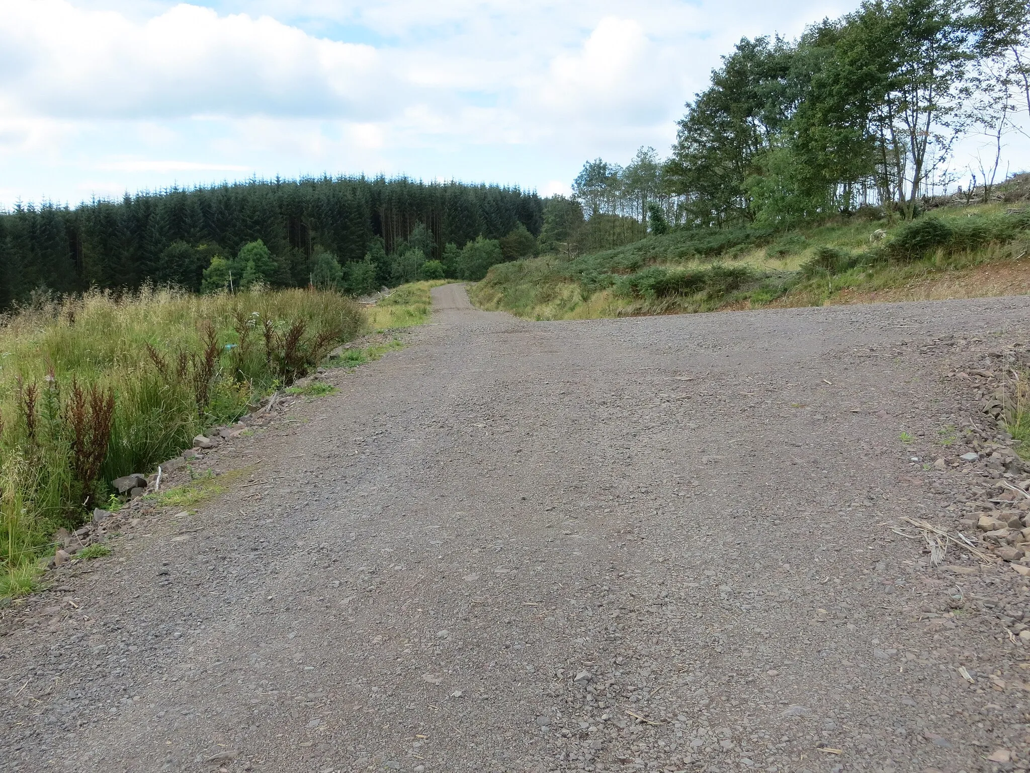 Photo showing: Forestry tracks near Sowens Knowe