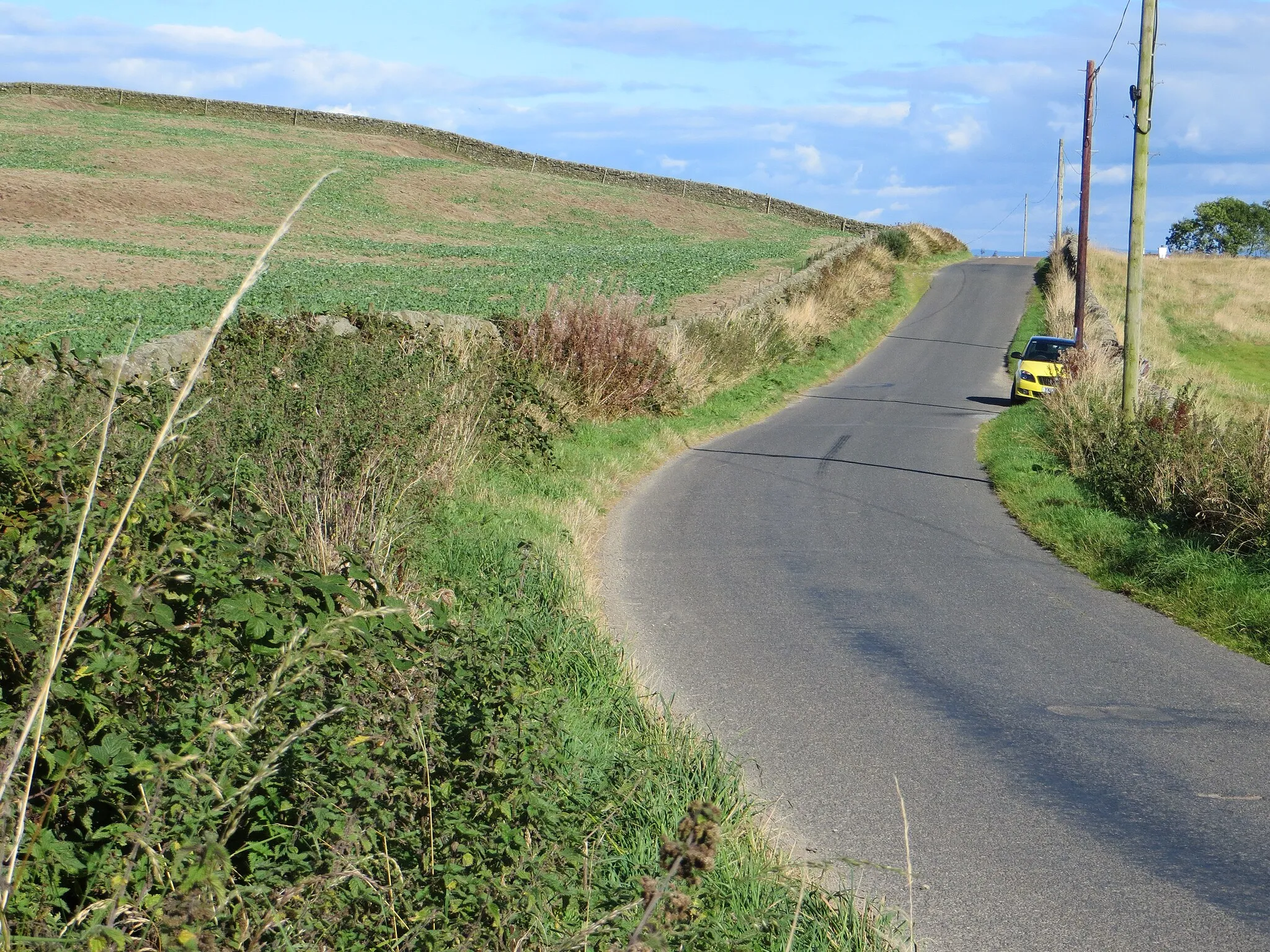 Photo showing: The Old Military Road to the South of Barnbackle Hill