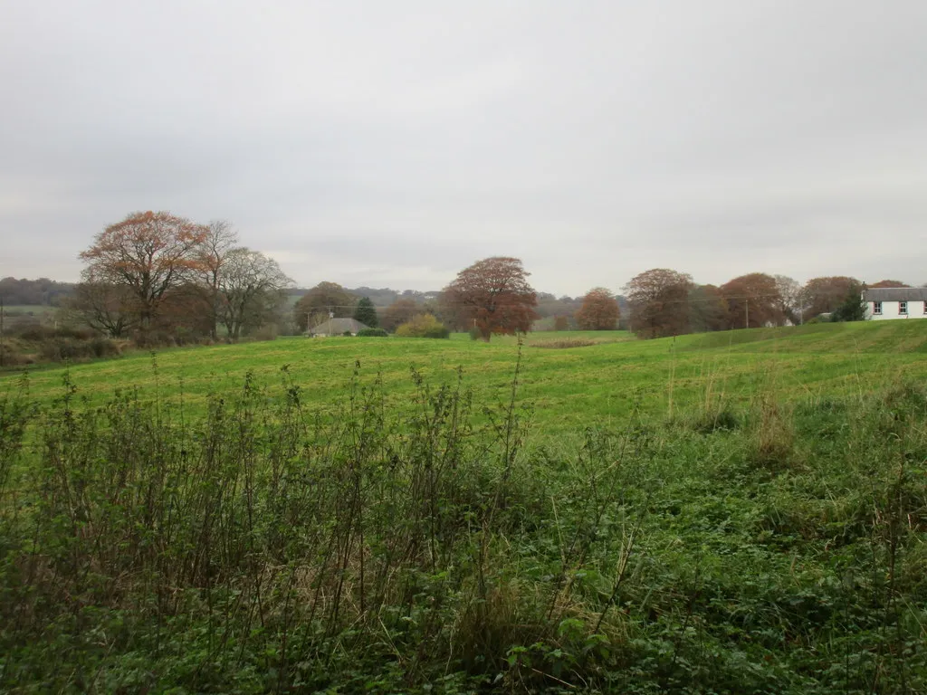Photo showing: Grass field near Gateside