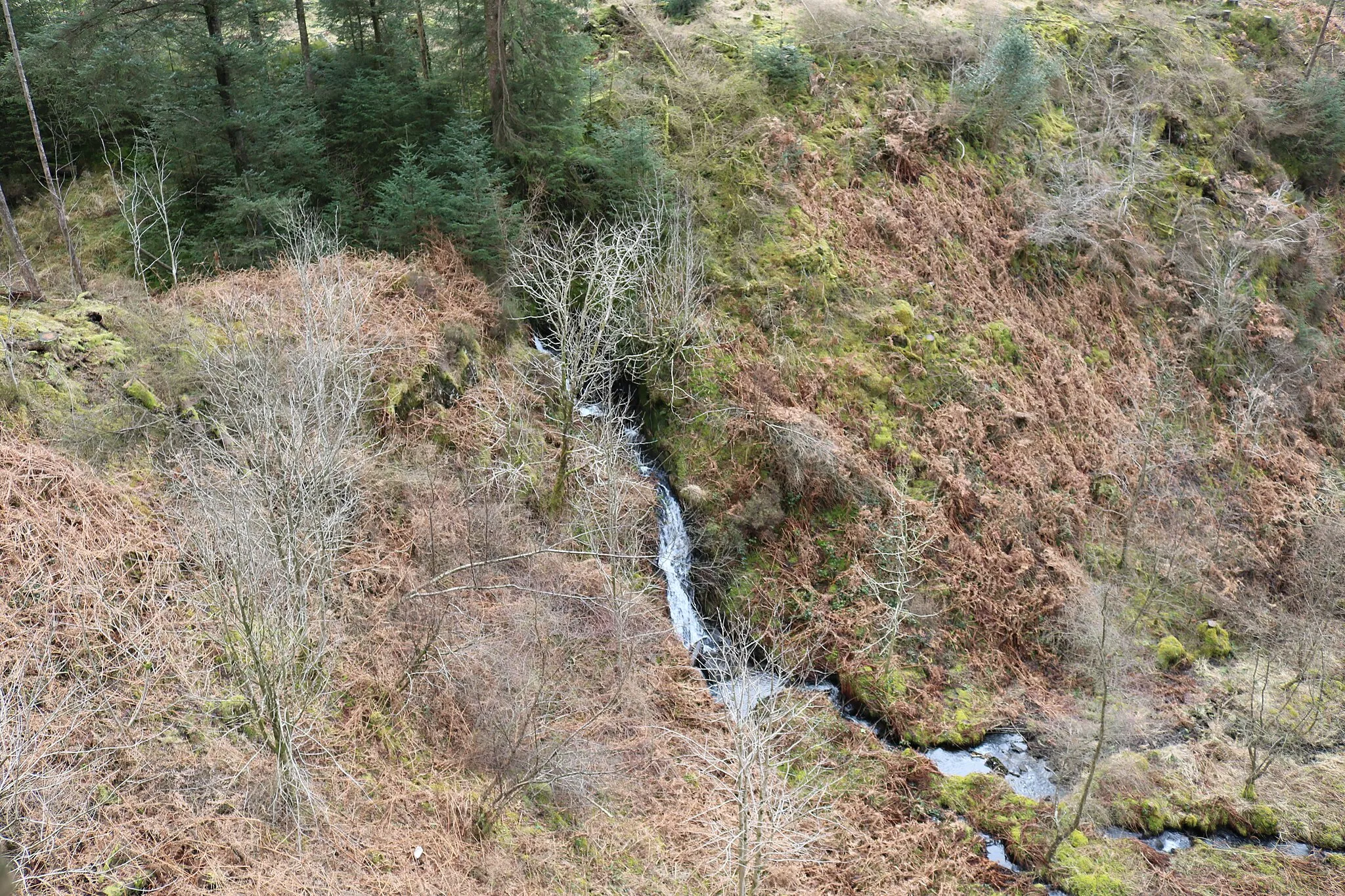 Photo showing: Small Waterfall, Glen of the Bar